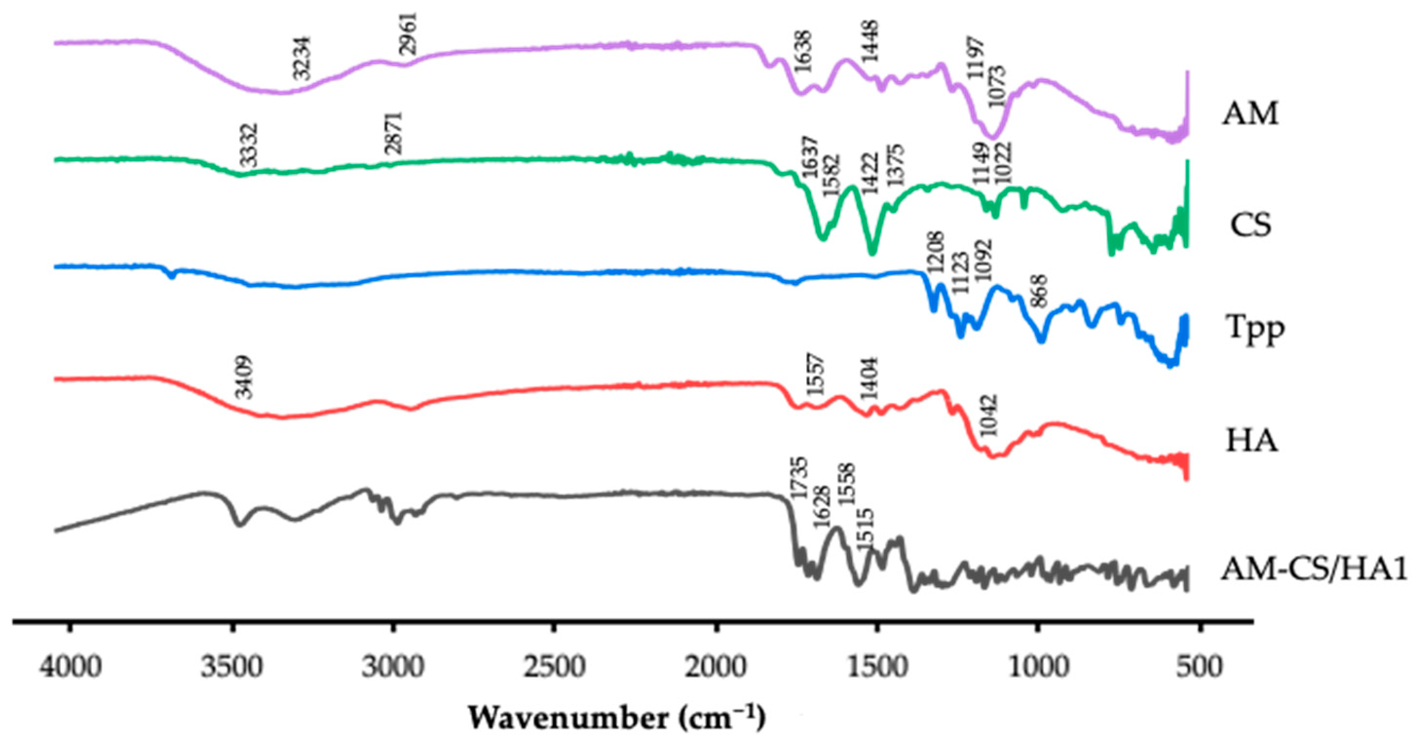 Polymers 15 01025 g002 Polymers 15 01025 g002