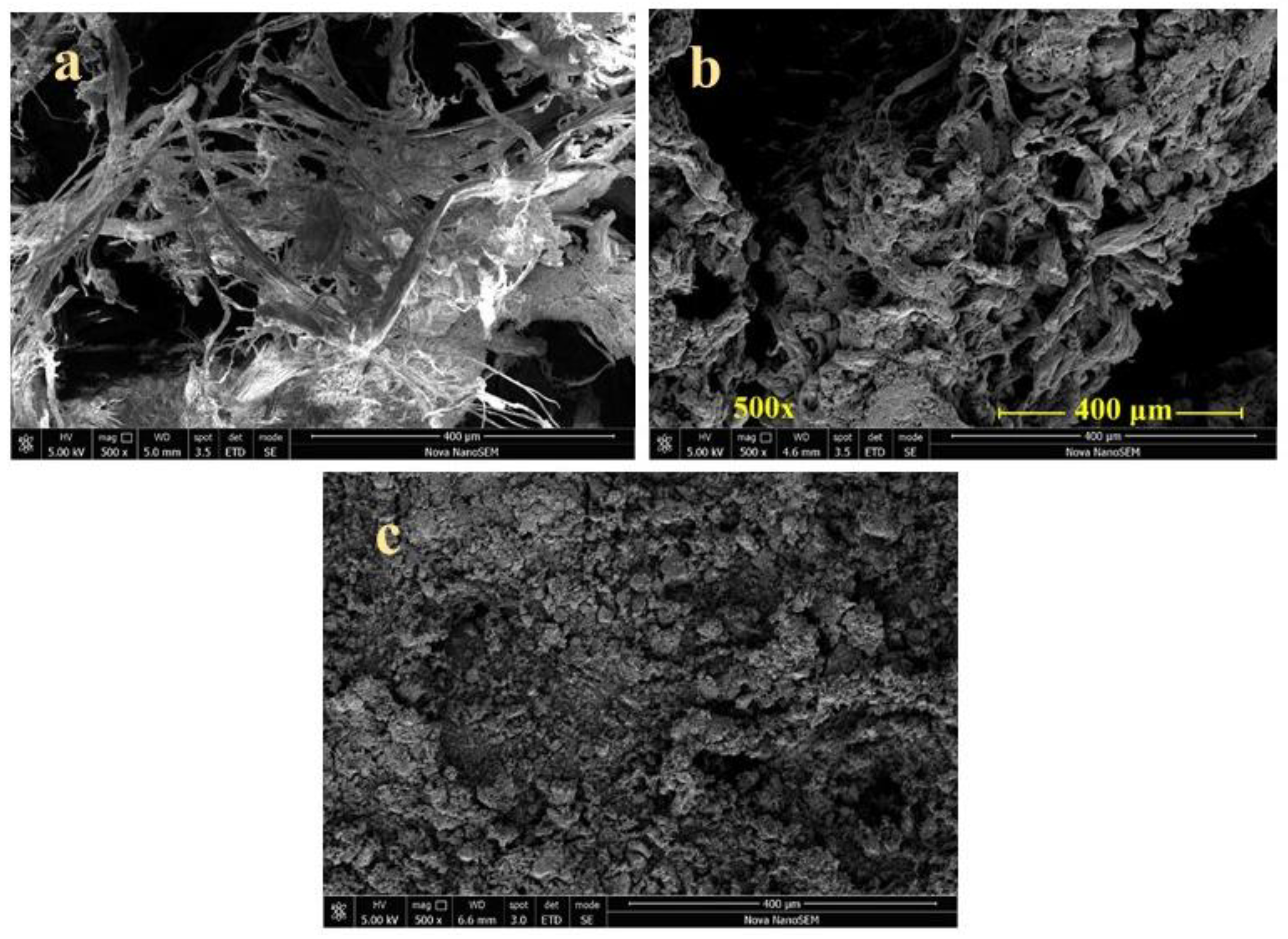 Polymers 15 01028 g003 Polymers 15 01028 g003