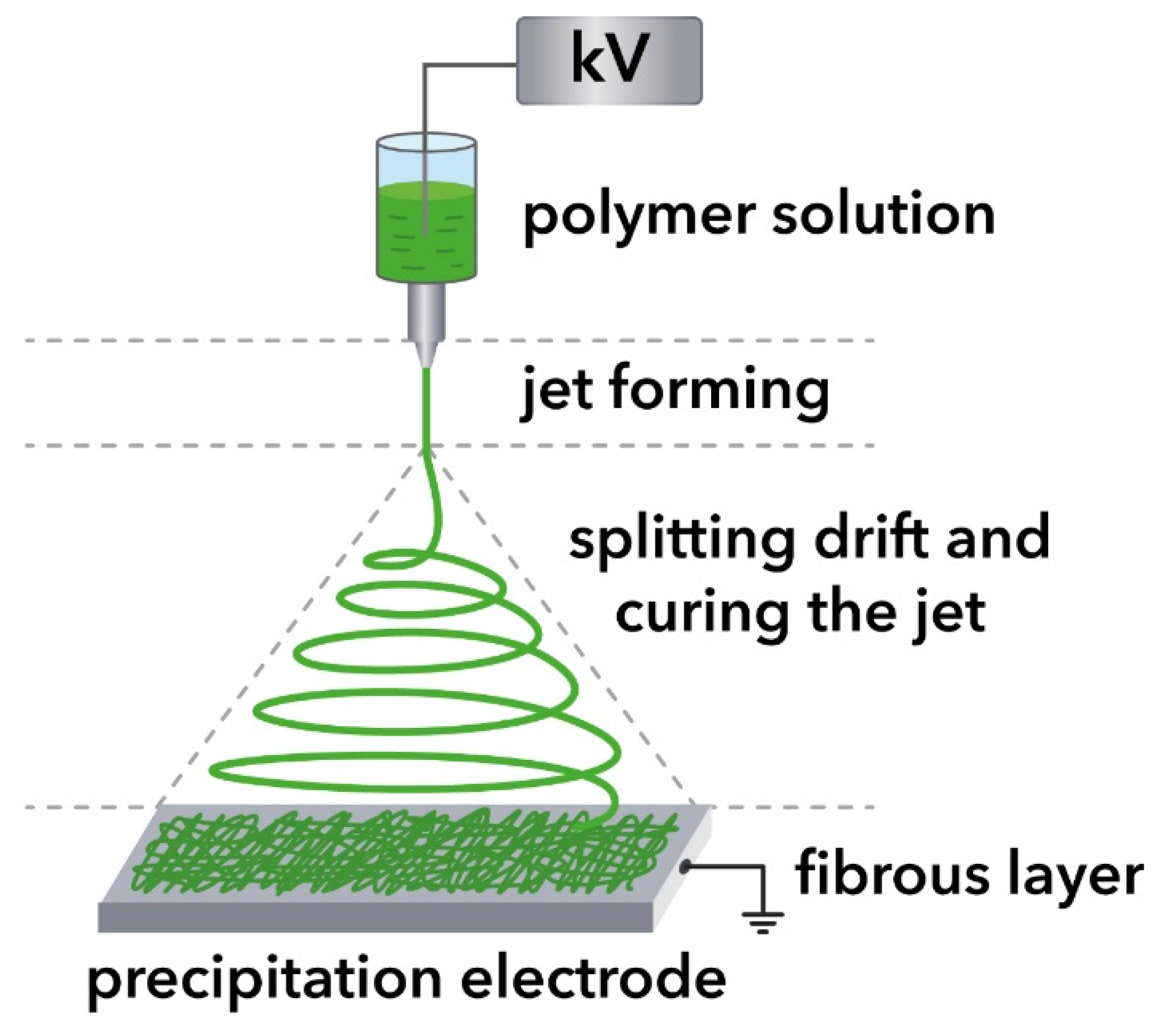 Polymers 15 01029 g001