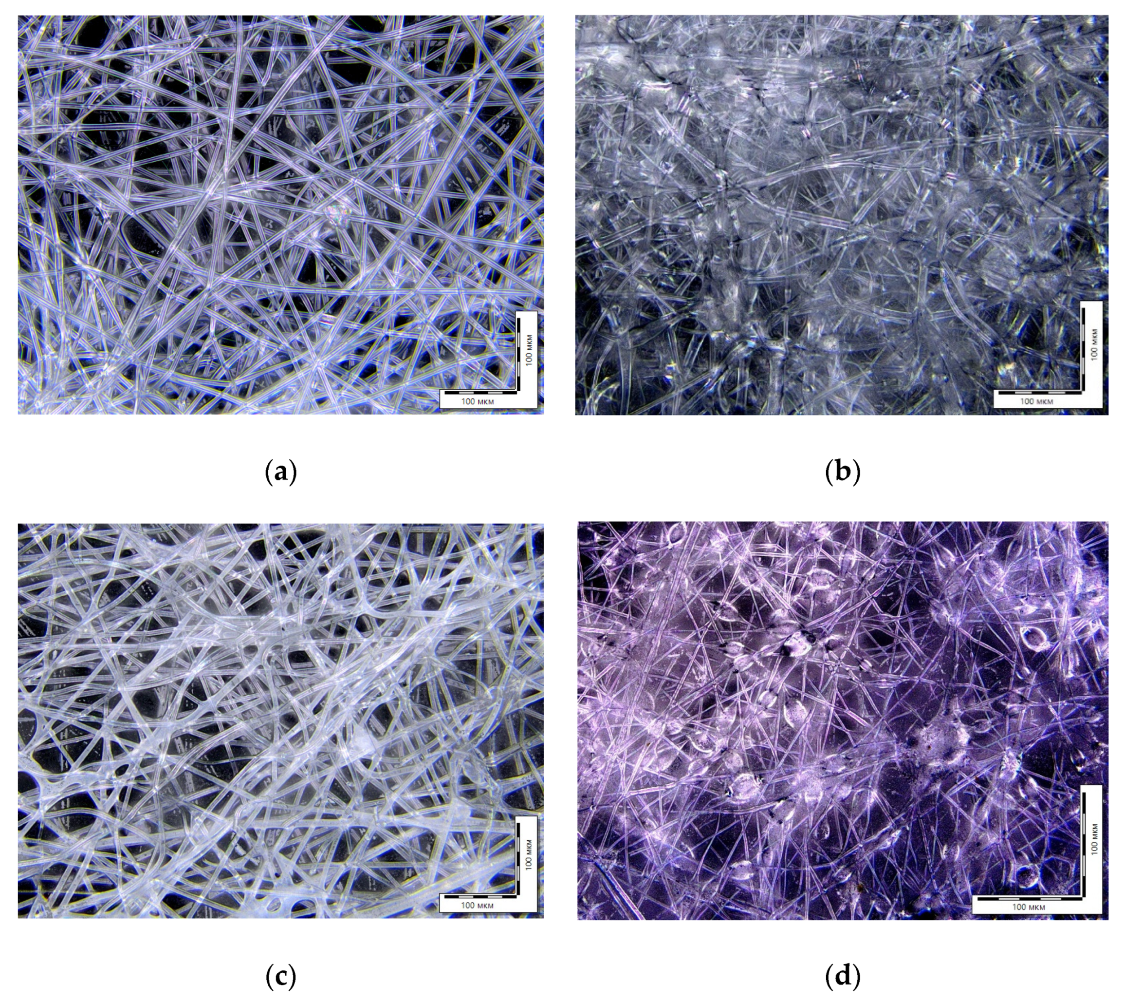 Polymers 15 01029 g002
