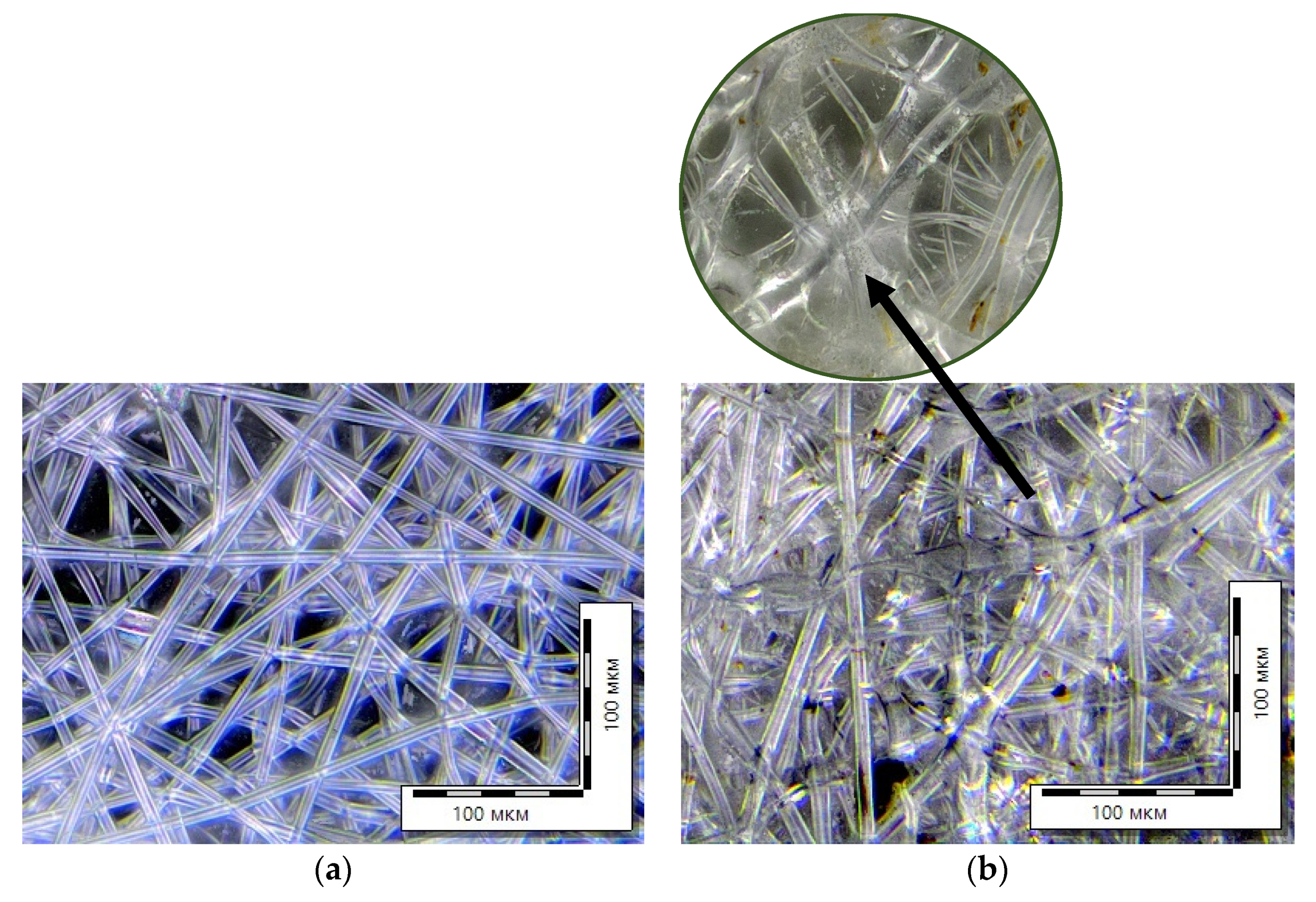 Polymers 15 01029 g008