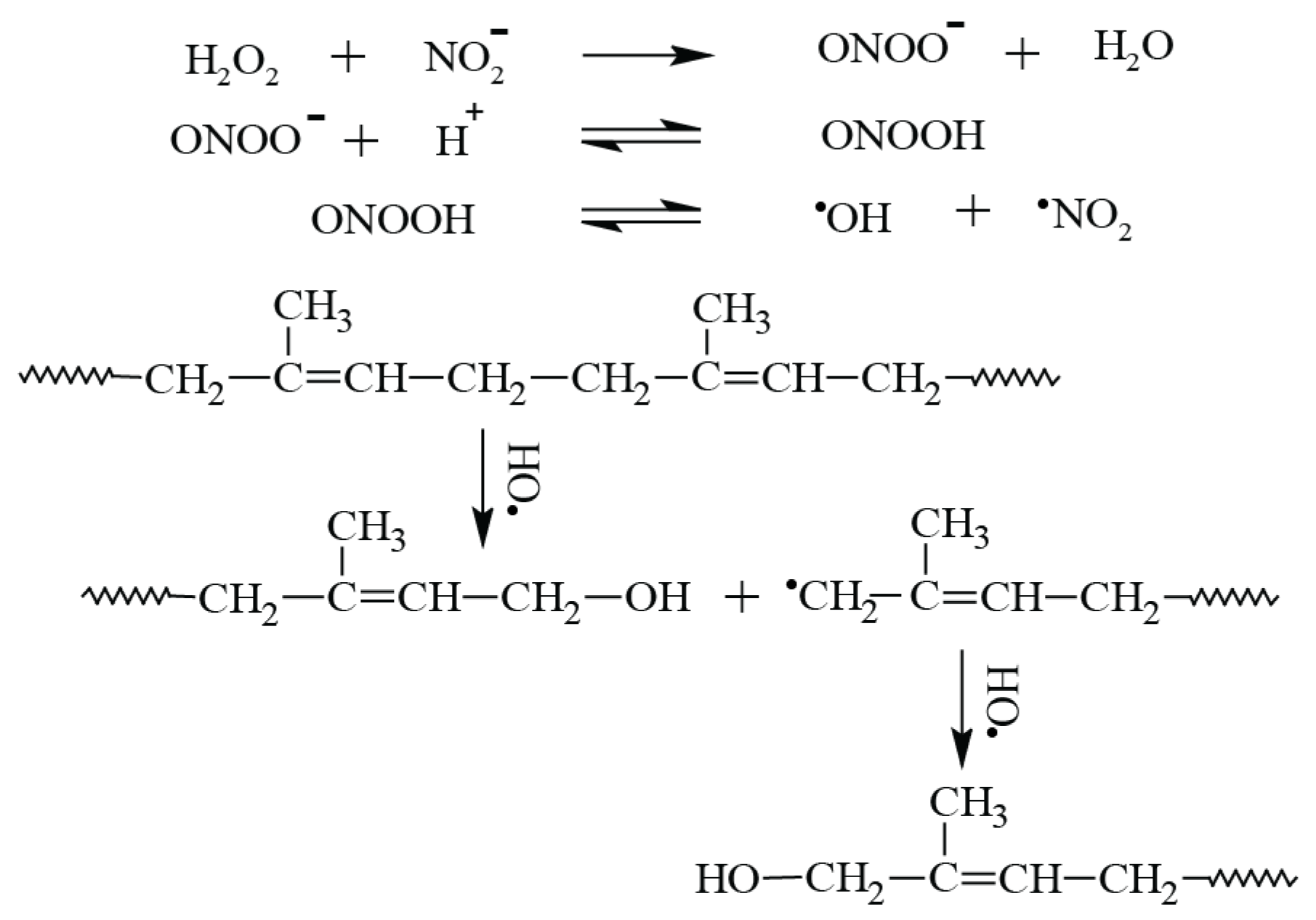Polymers 15 01031 sch001