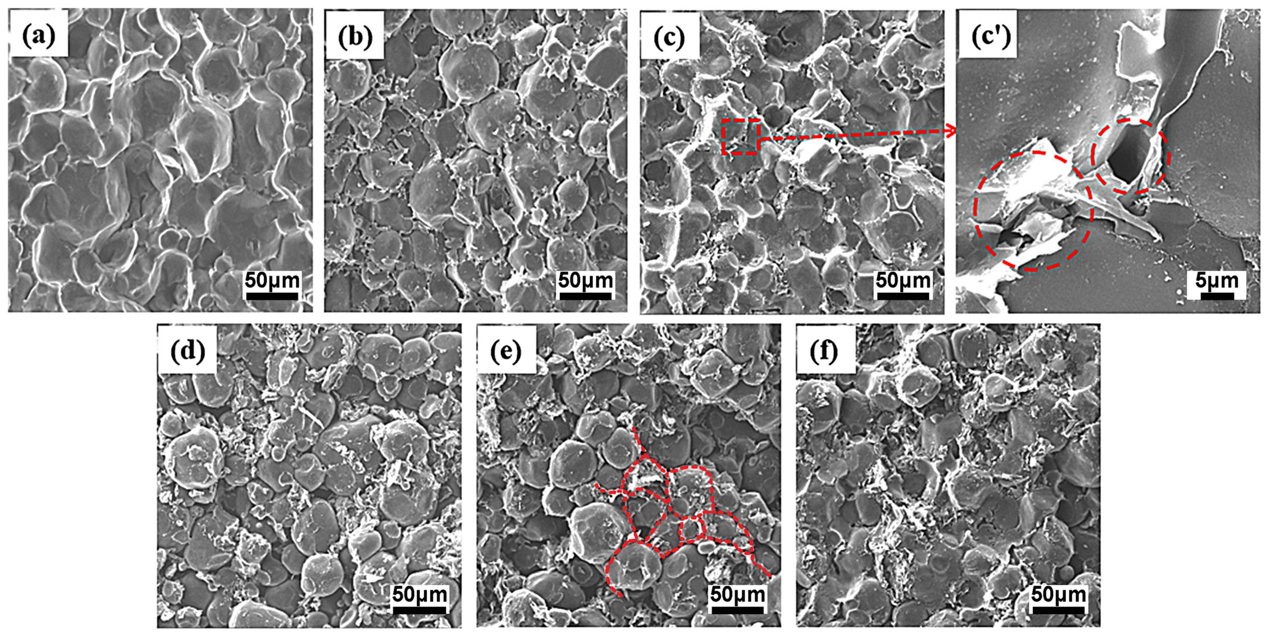 Polymers 15 01041 g005