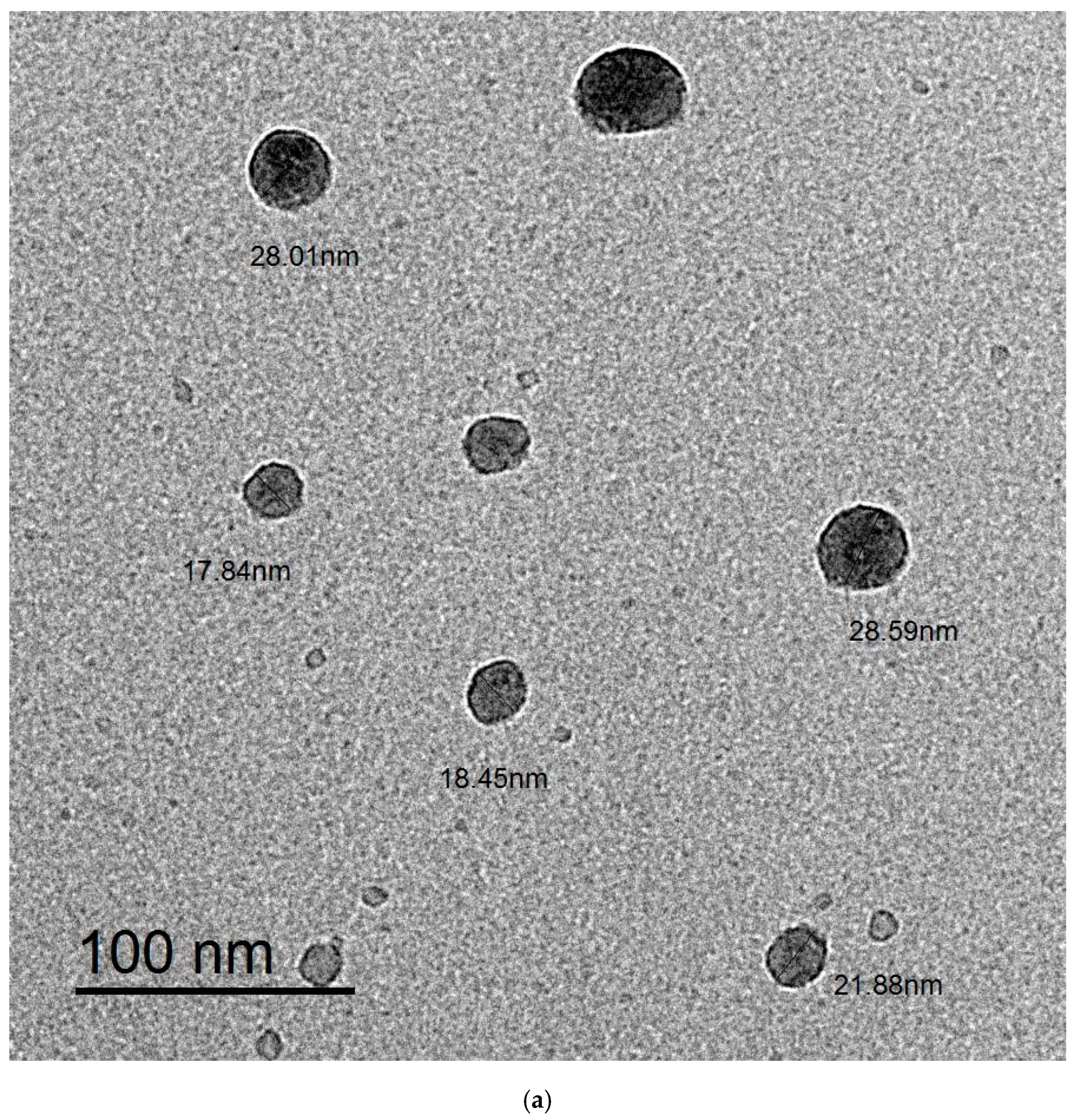 Polymers 15 01047 g003a