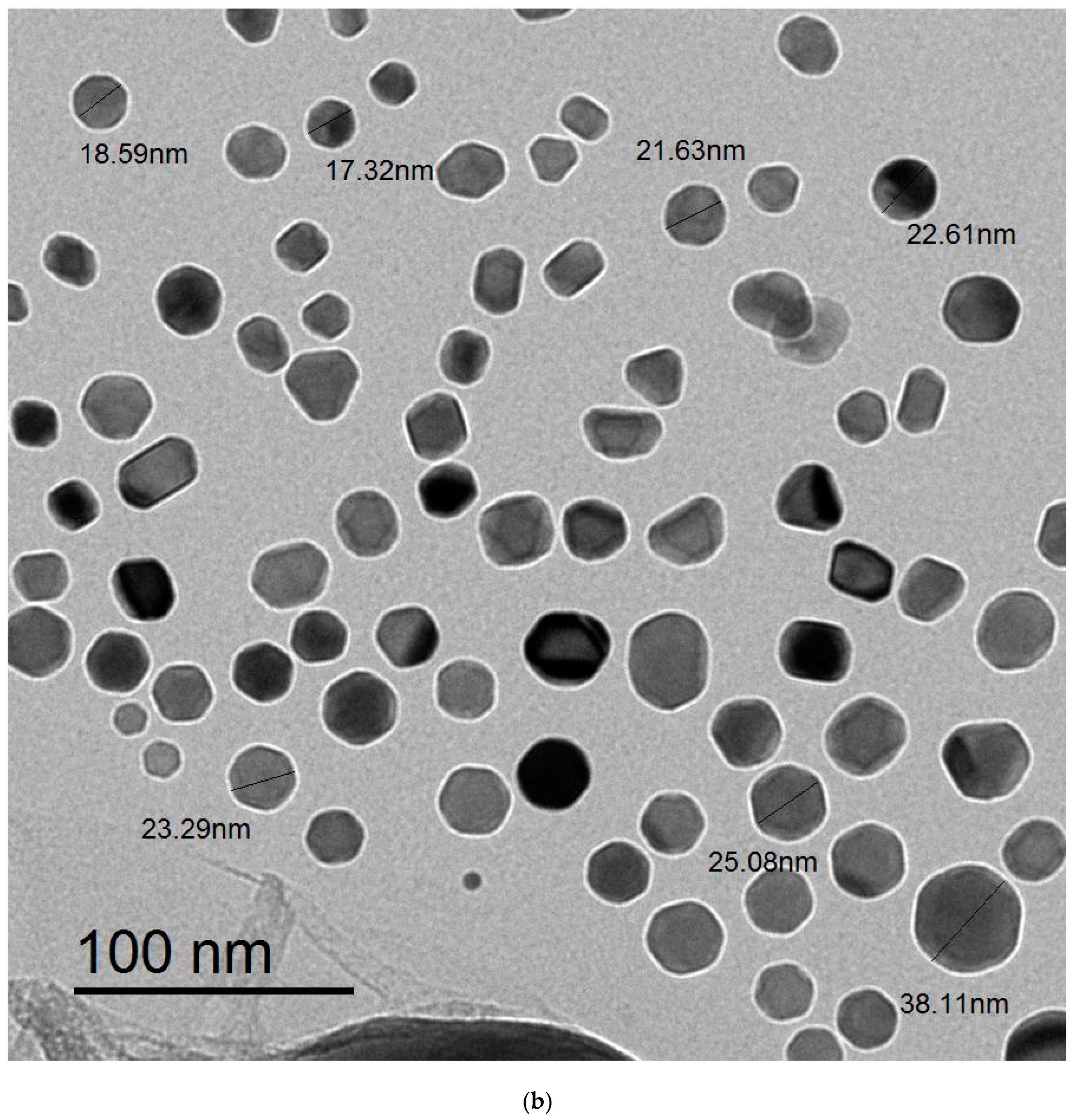 Polymers 15 01047 g003b
