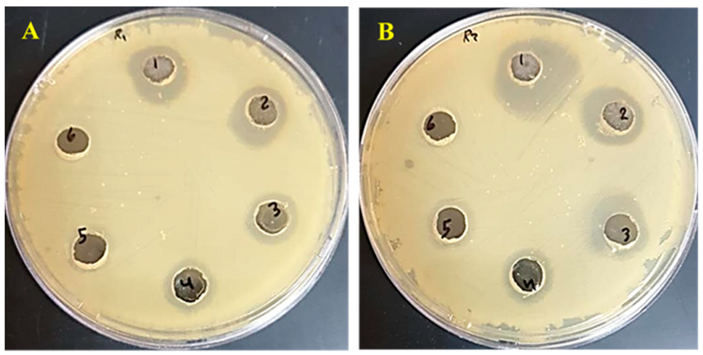 Polymers 15 01047 g010