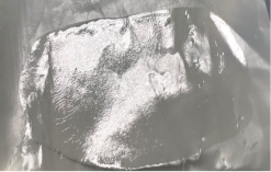 Polymers 15 01057 i004