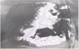 Polymers 15 01057 i005