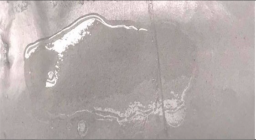 Polymers 15 01057 i008