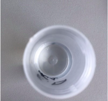 Polymers 15 01057 i011