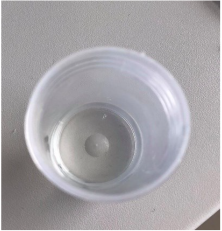 Polymers 15 01057 i013