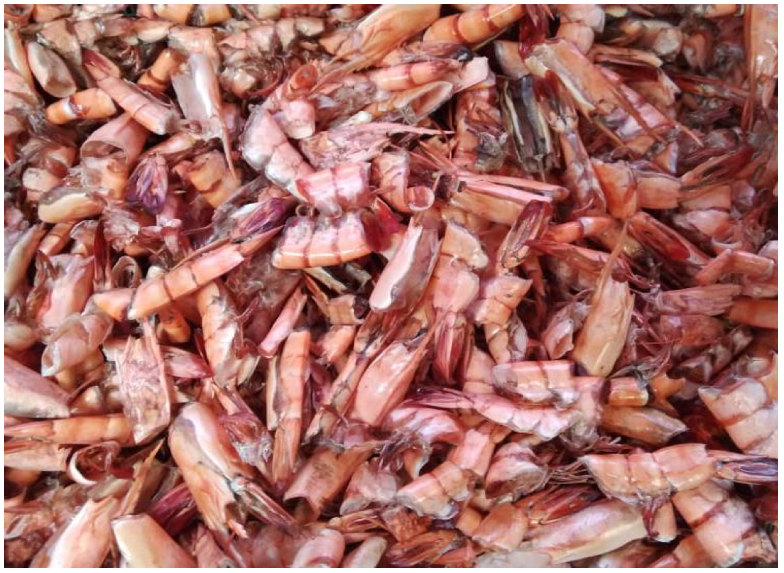 Polymers 15 01058 g001