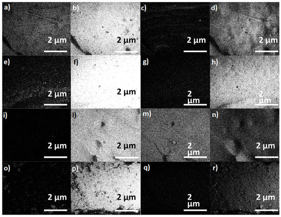 Polymers 15 01061 g008
