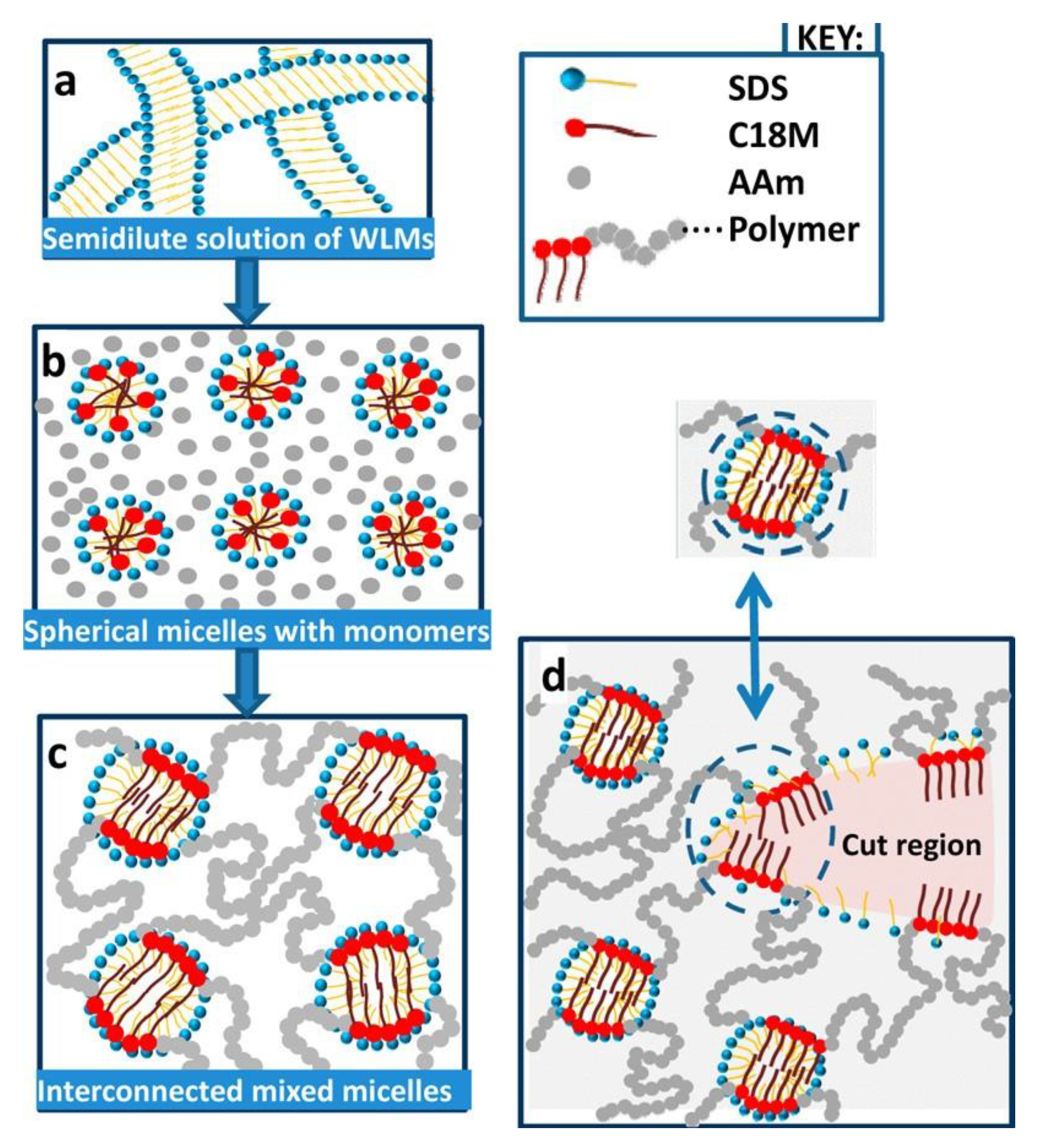 Polymers 15 01065 g001