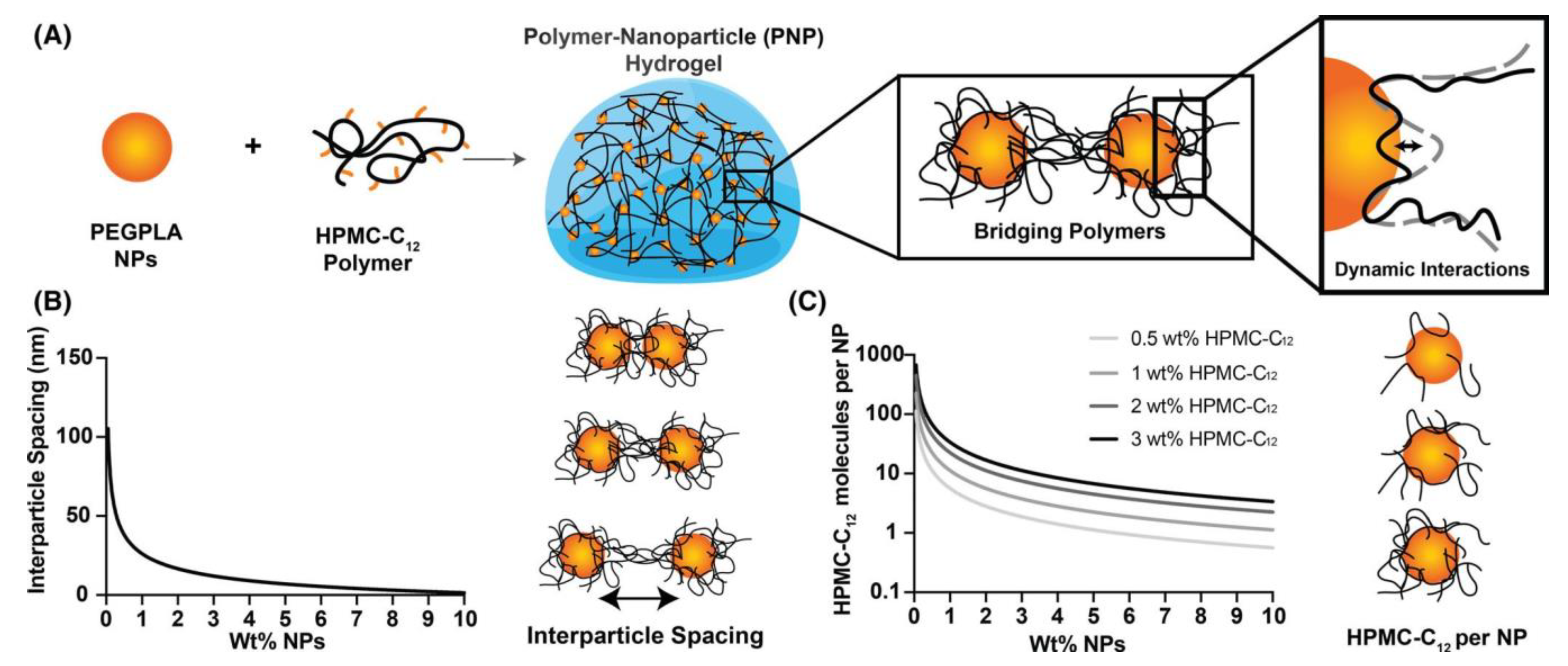Polymers 15 01065 g002