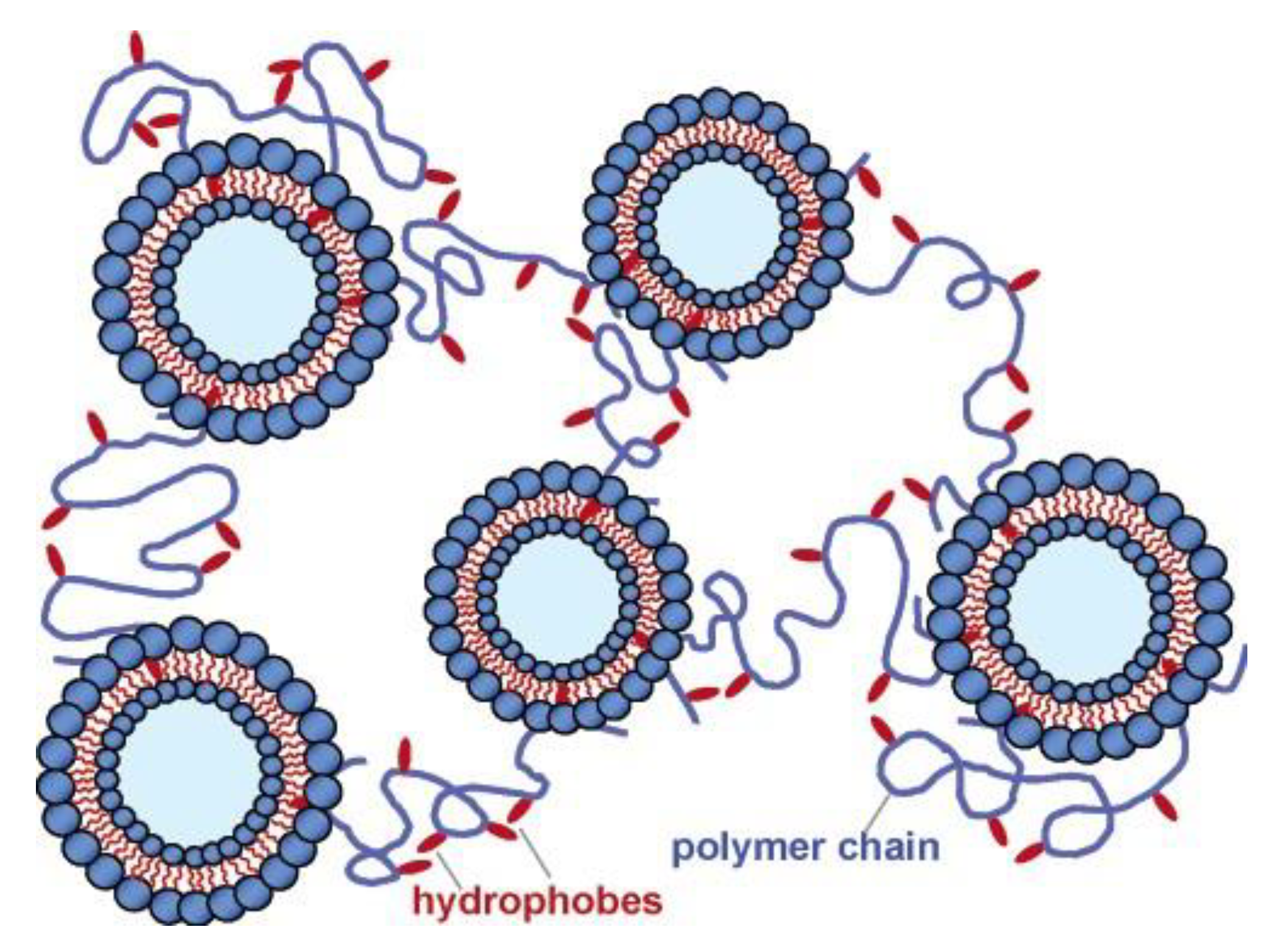 Polymers 15 01065 g003