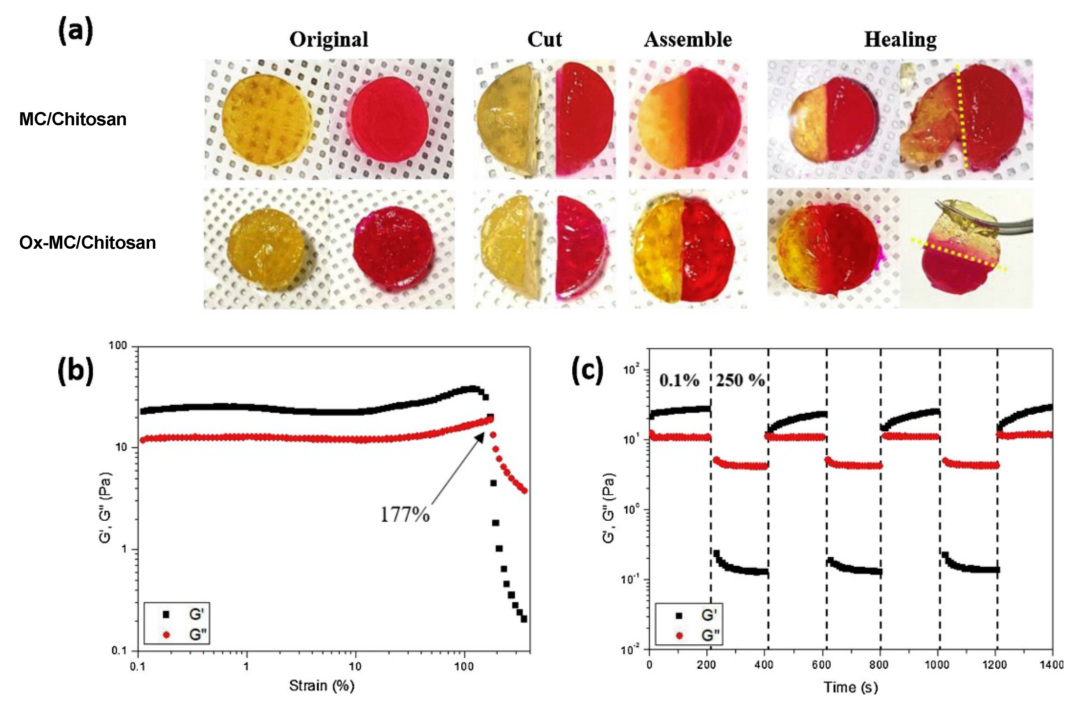 Polymers 15 01065 g004
