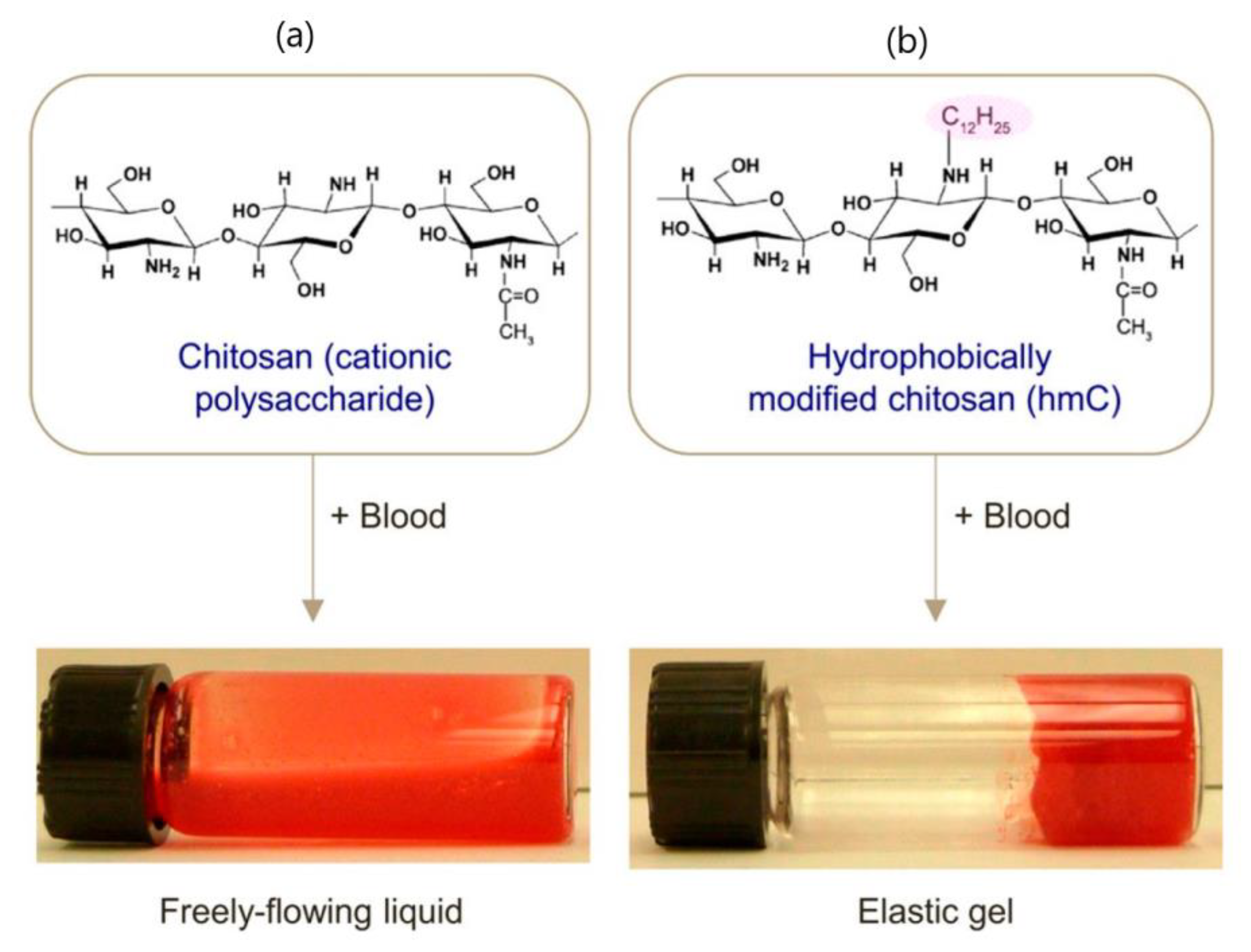 Polymers 15 01065 g006
