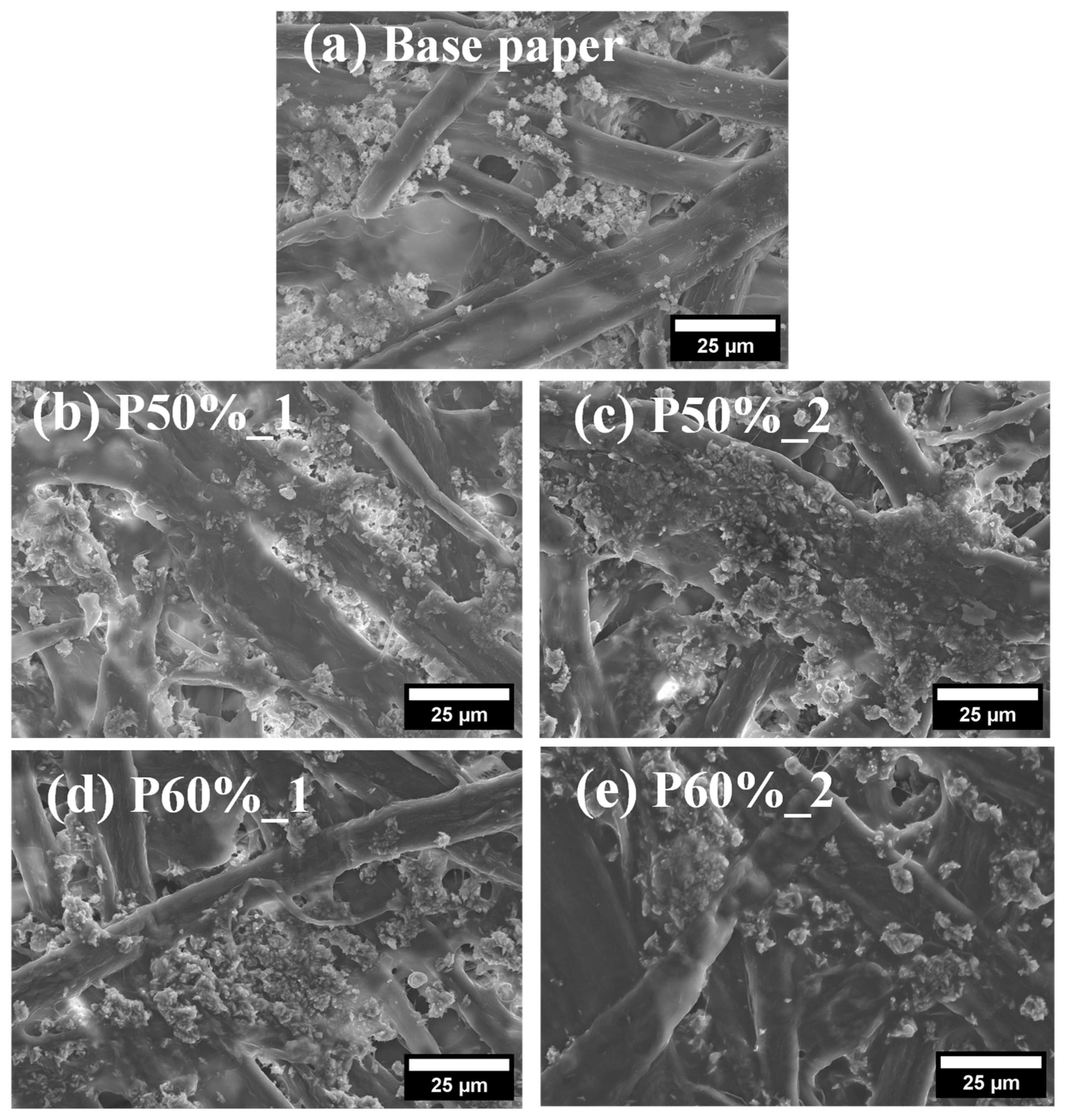Polymers 15 01069 g003 Polymers 15 01069 g003
