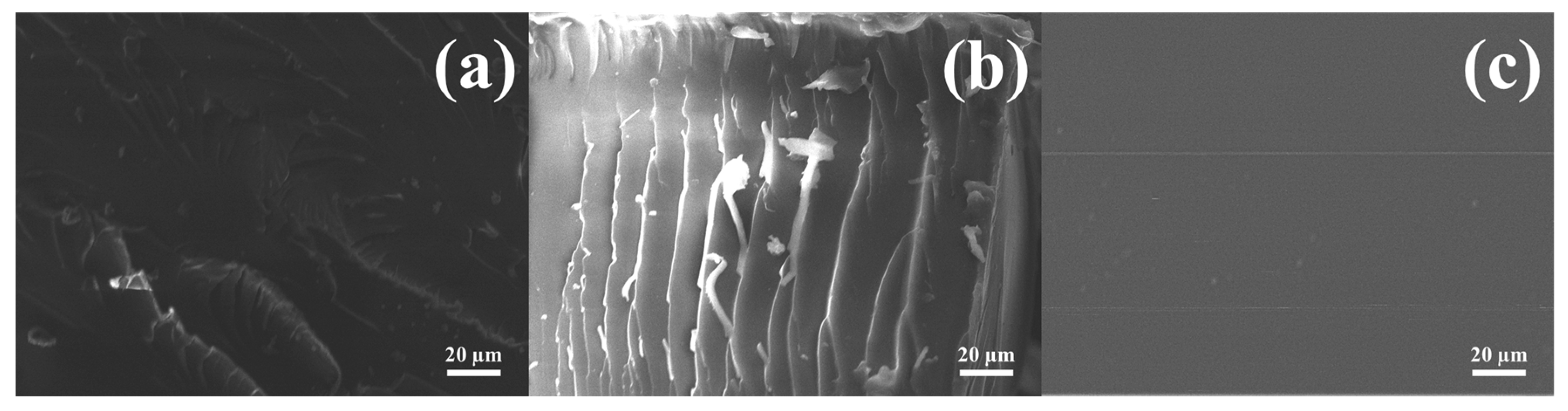 Polymers 15 01072 g008