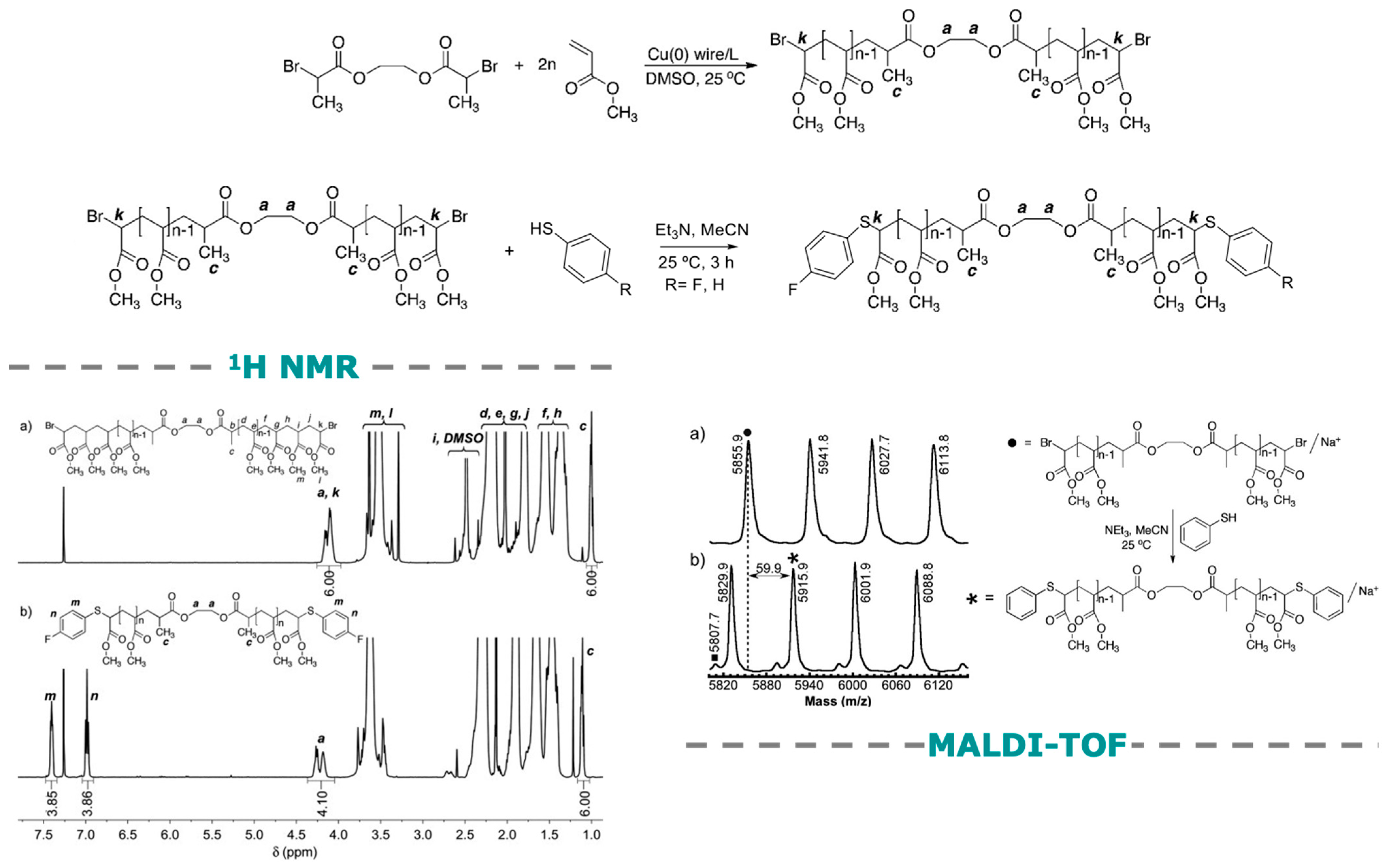 Polymers 15 01075 g005