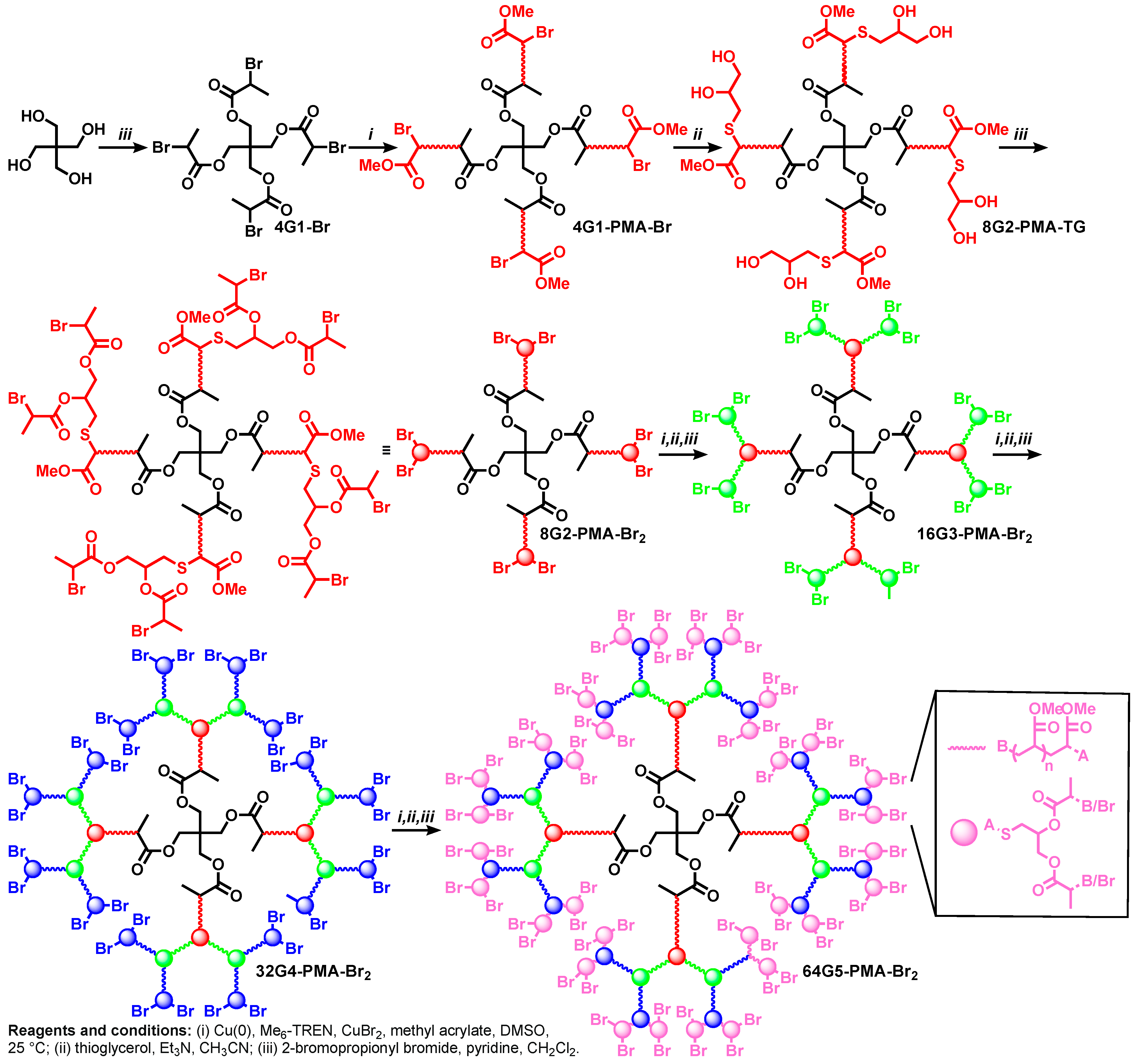 Polymers 15 01075 g007