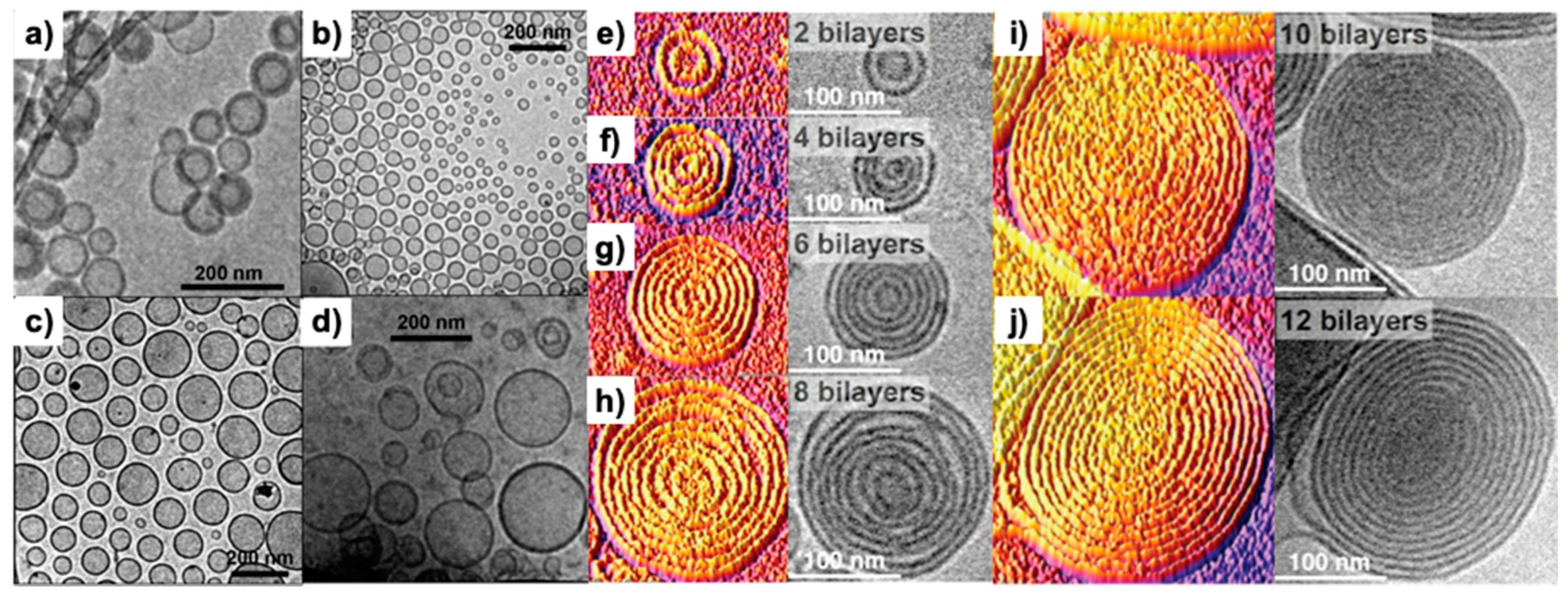 Polymers 15 01075 g013