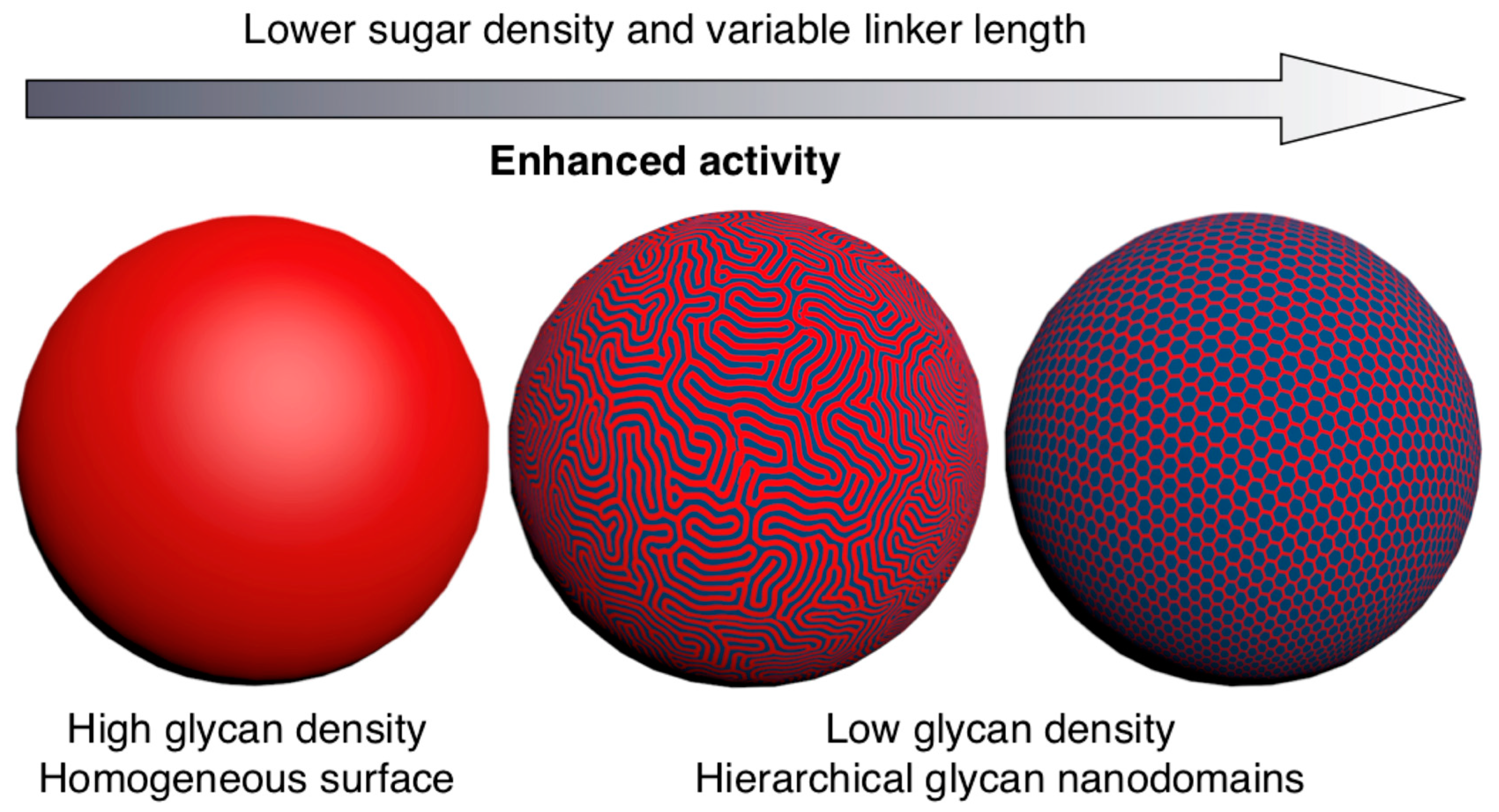 Polymers 15 01075 g016