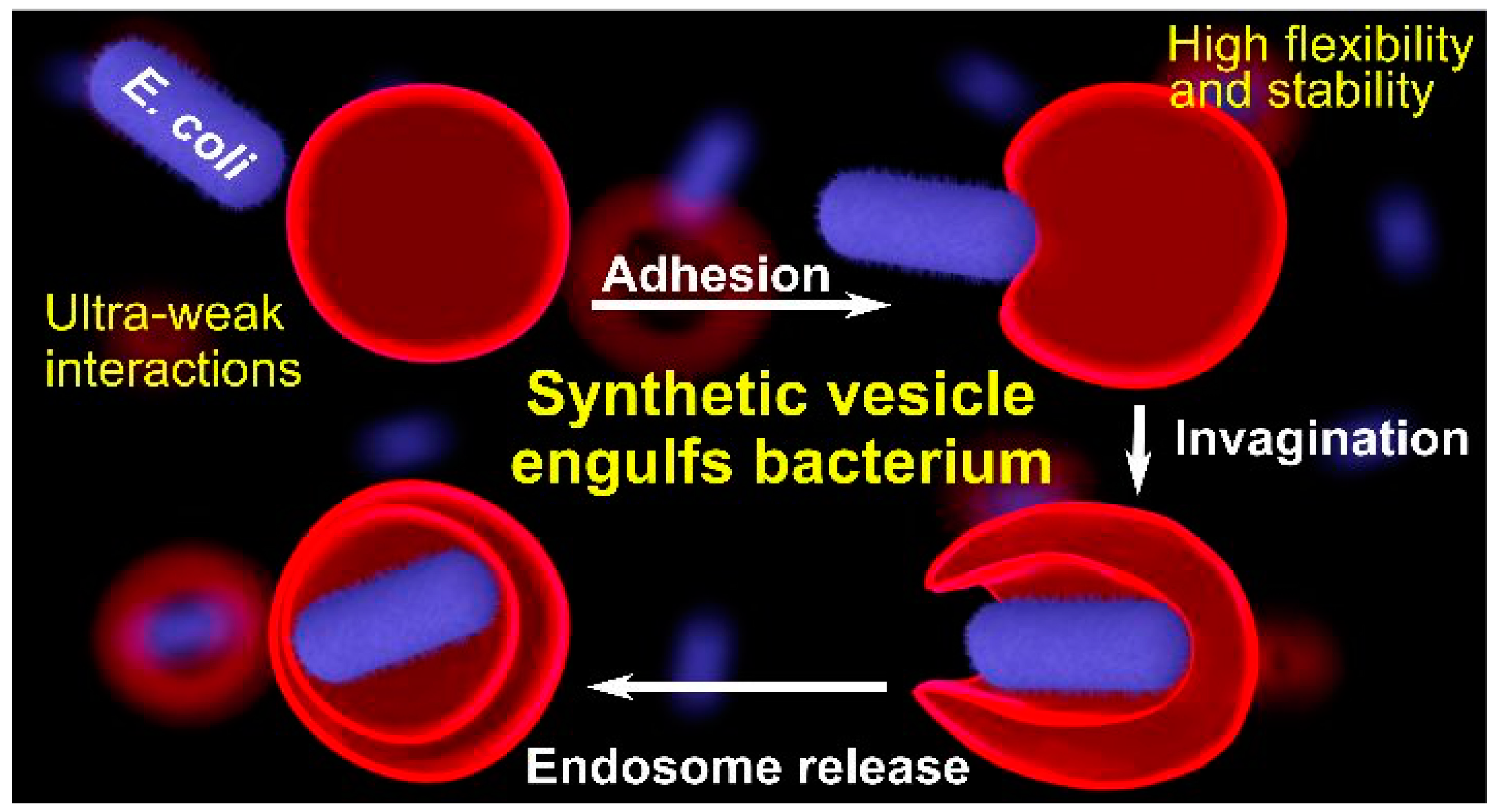 Polymers 15 01075 g018