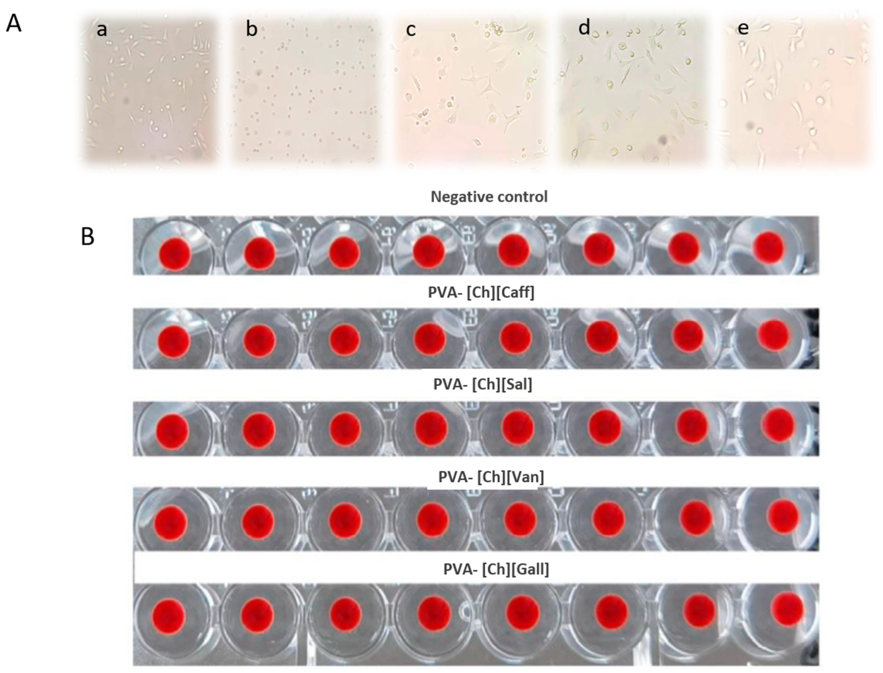 Polymers 15 01076 g004