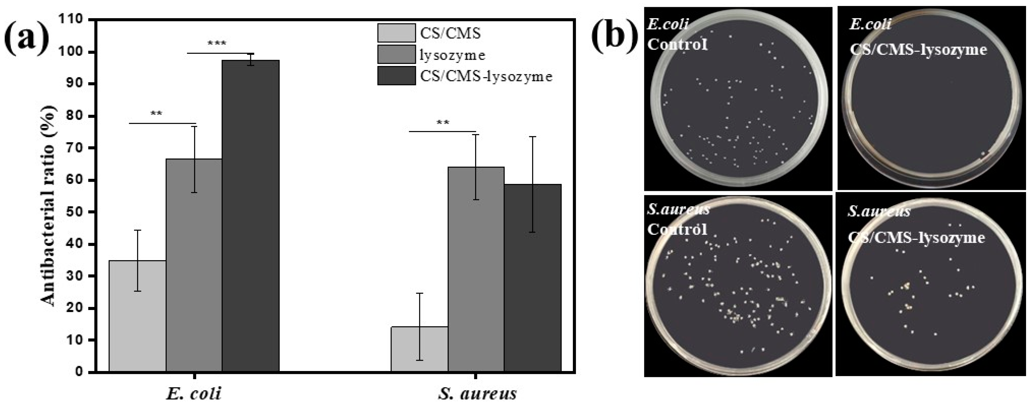 Polymers 15 01077 g007 Polymers 15 01077 g007
