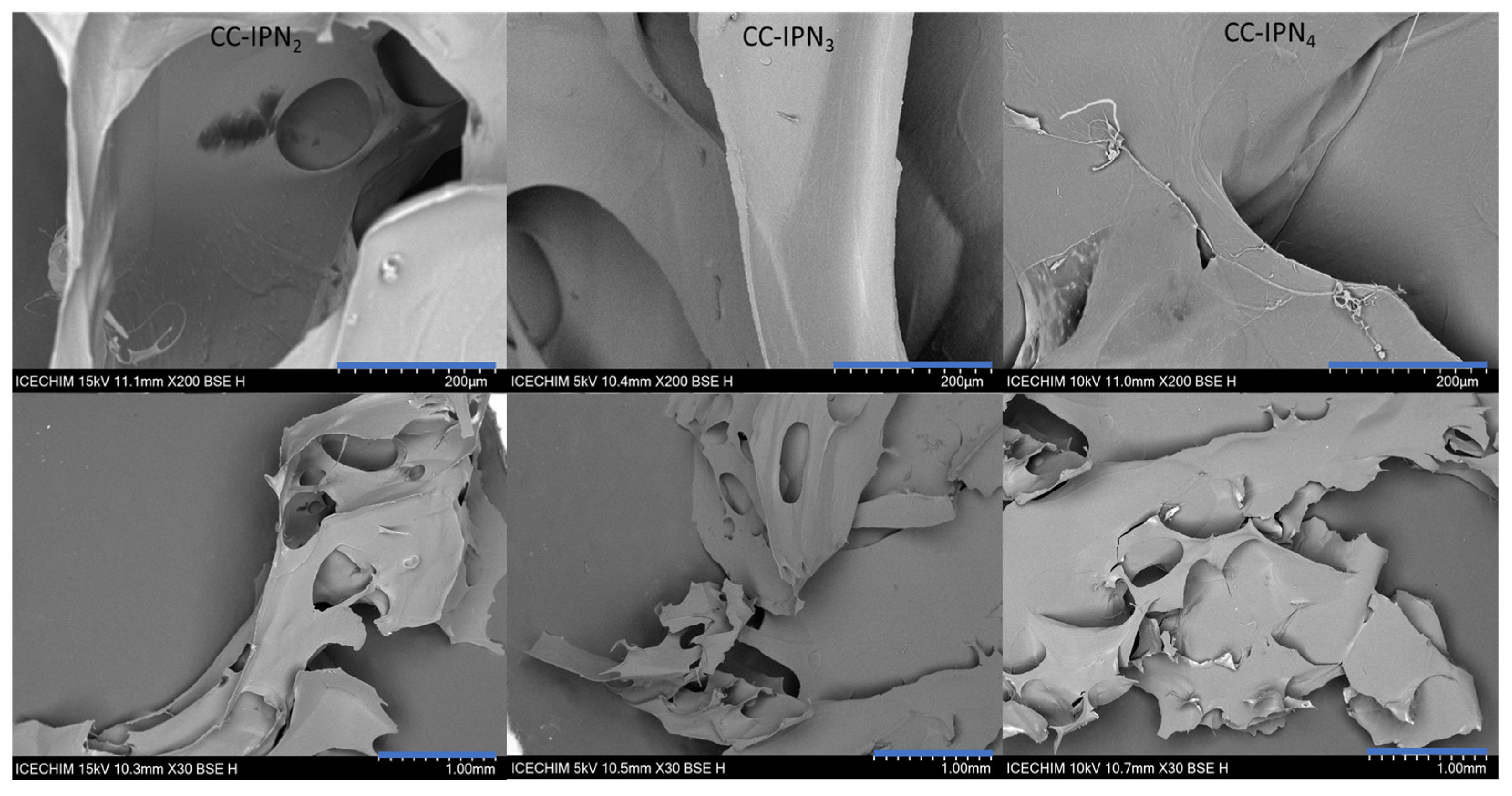 Polymers 15 01091 g005