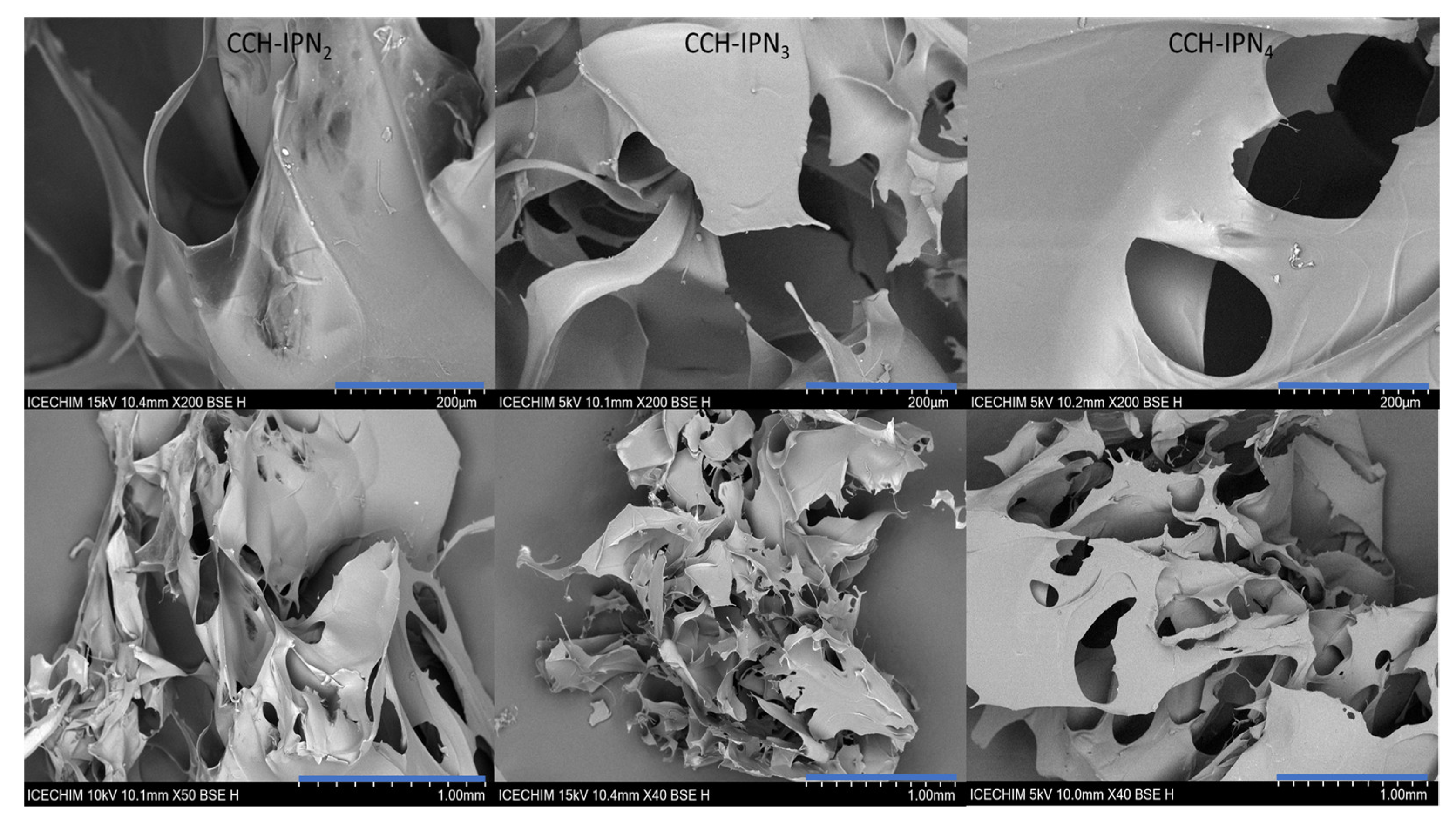 Polymers 15 01091 g006