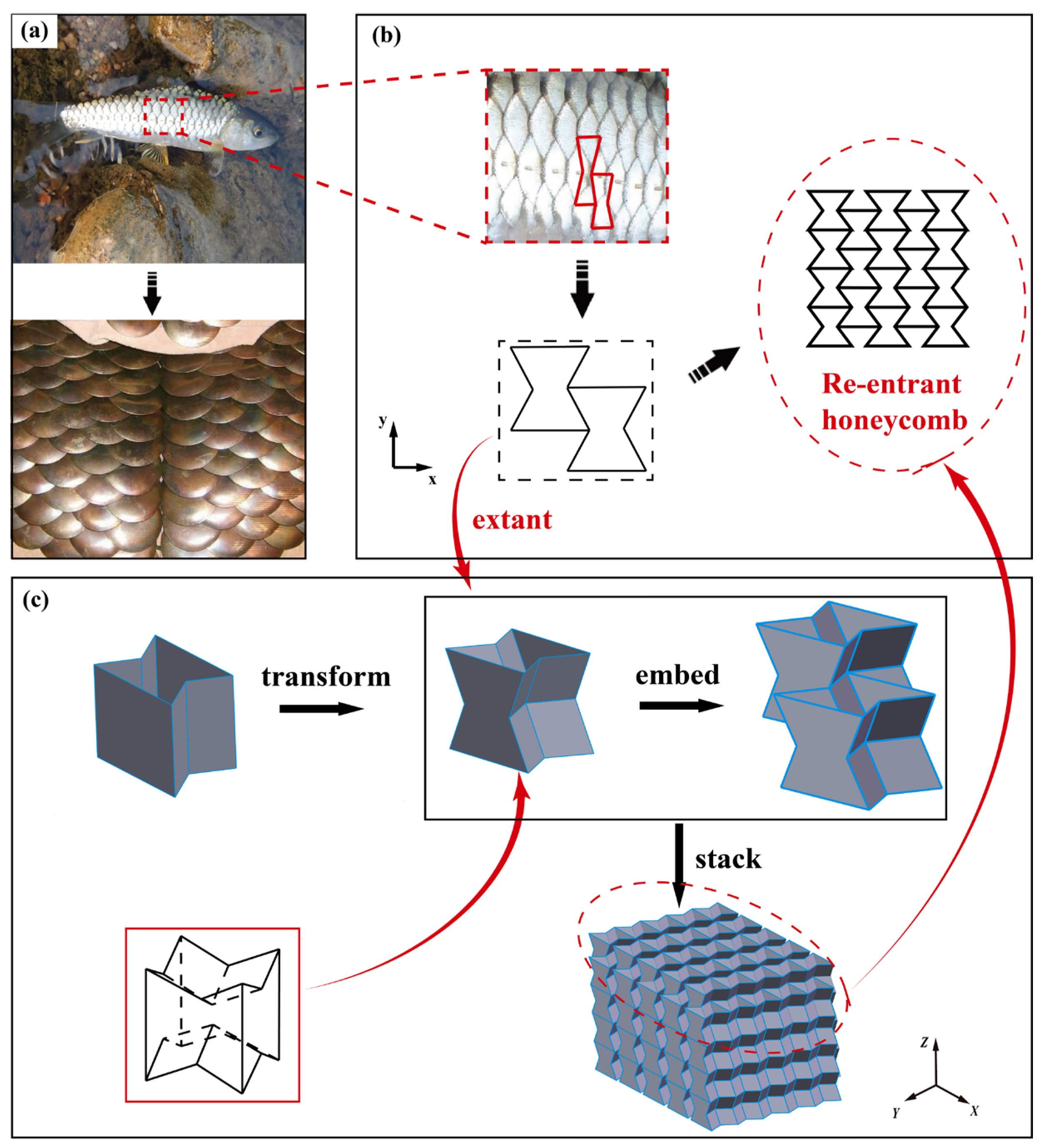 Polymers 15 01092 g001