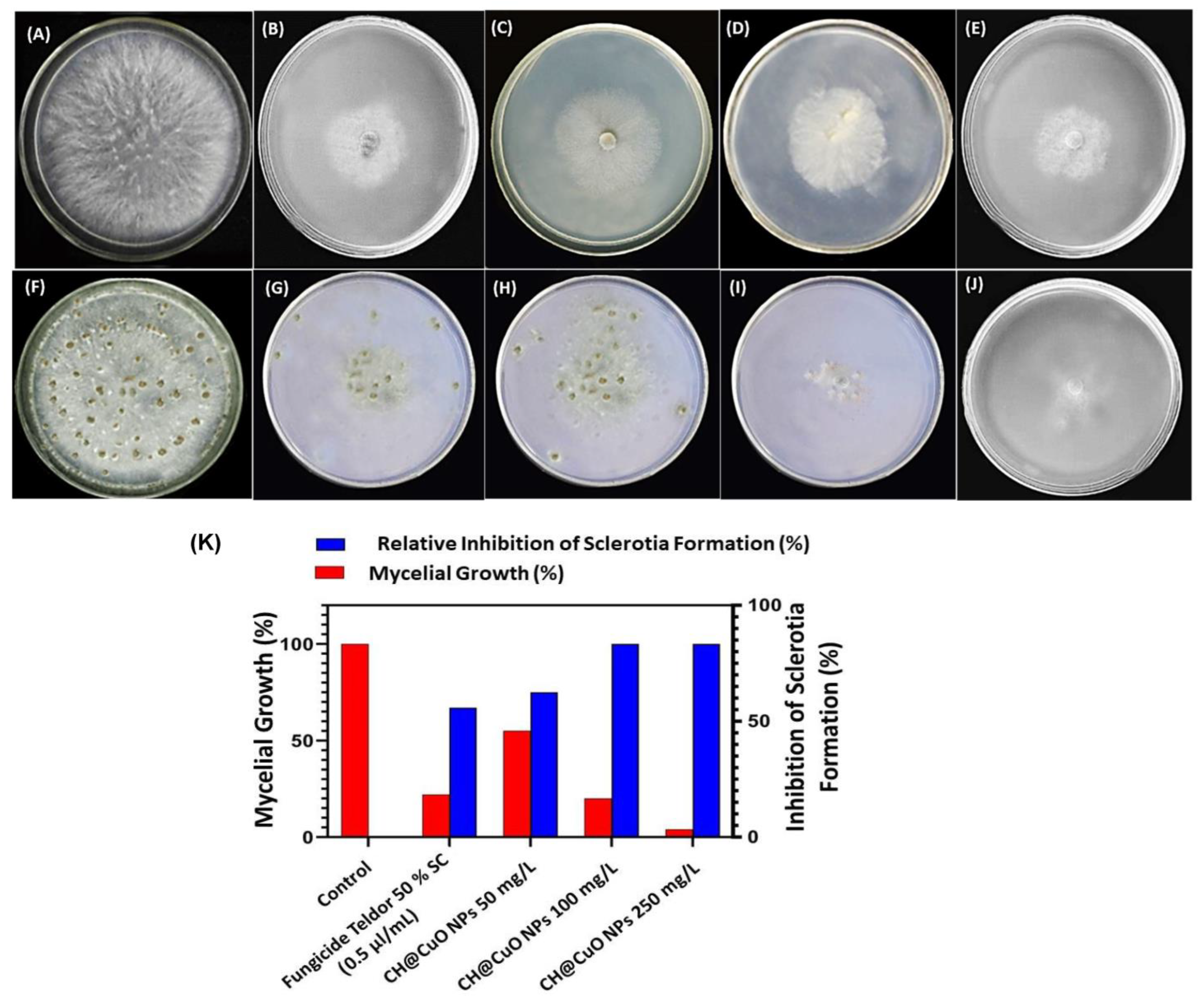 Polymers 15 01099 g002