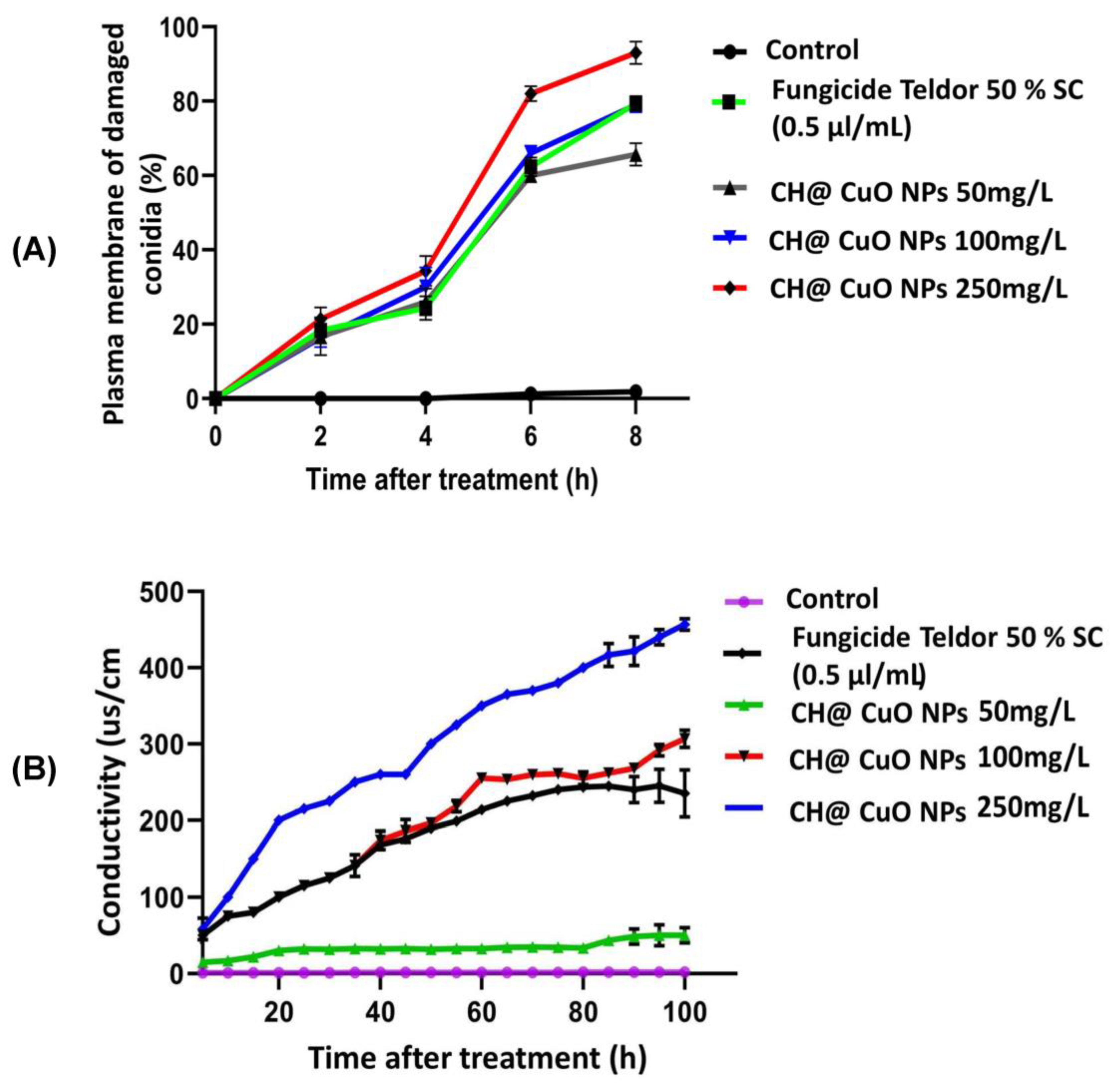 Polymers 15 01099 g004