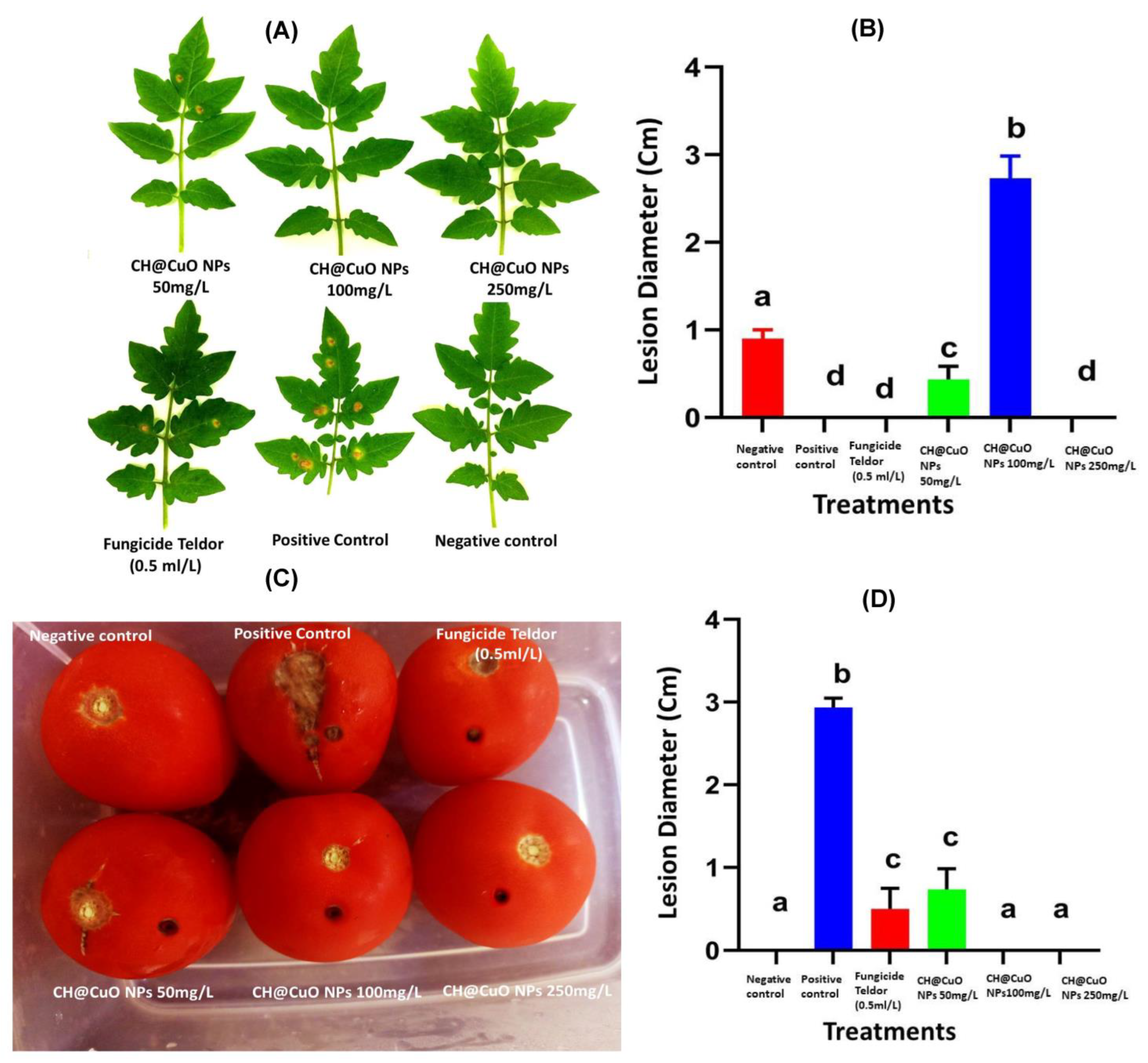 Polymers 15 01099 g006