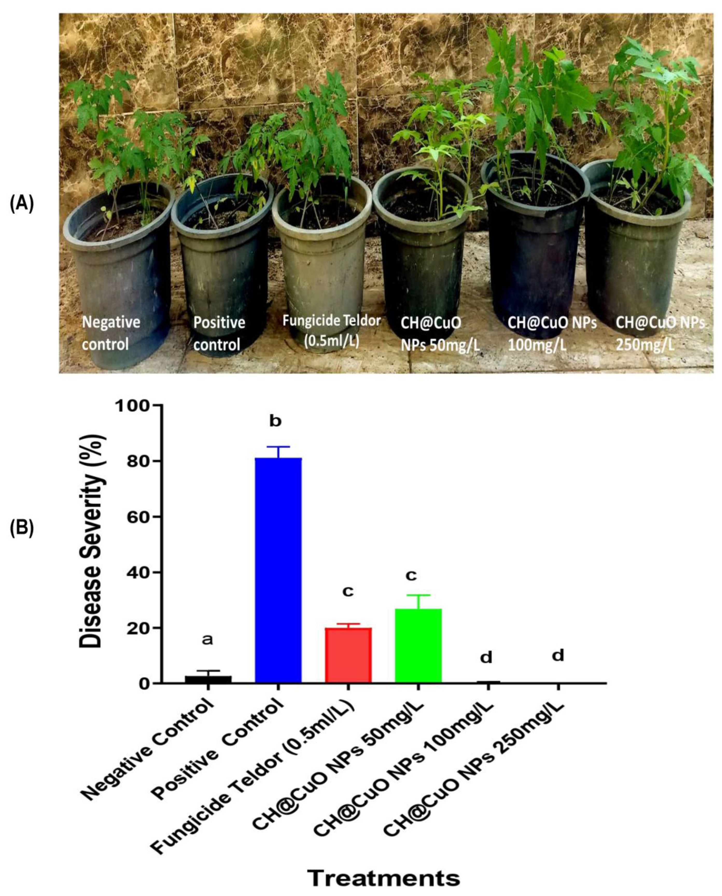 Polymers 15 01099 g007