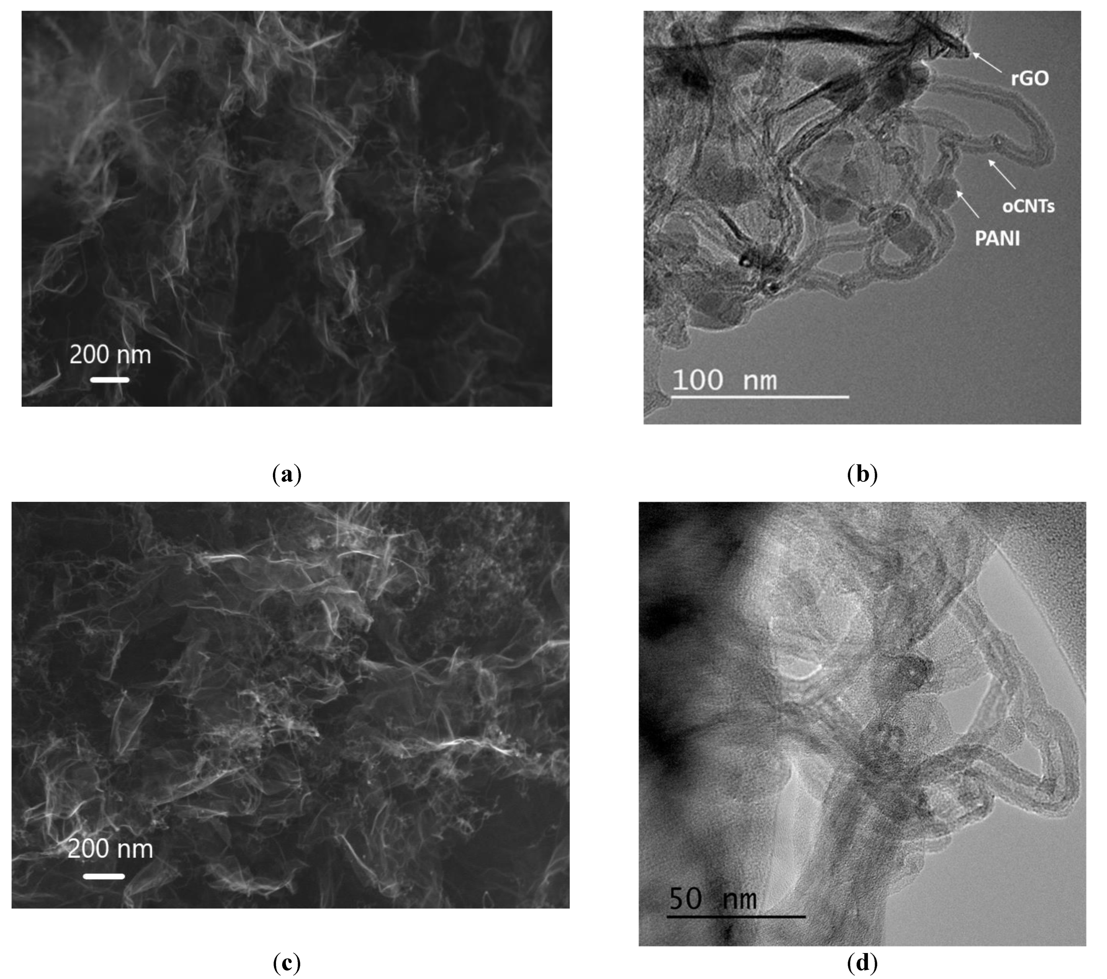 Polymers 15 01101 g003 Polymers 15 01101 g003