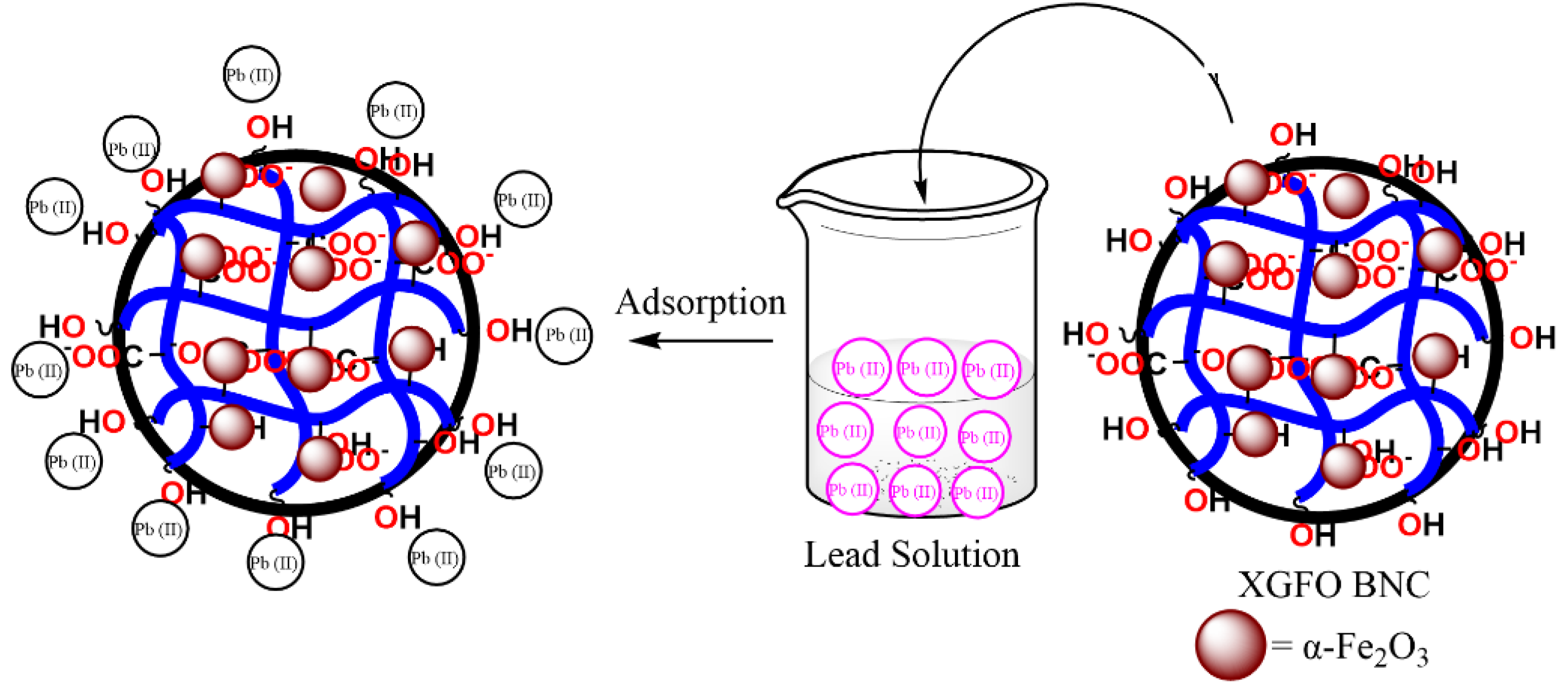Polymers 15 01134 sch002 Polymers 15 01134 sch002