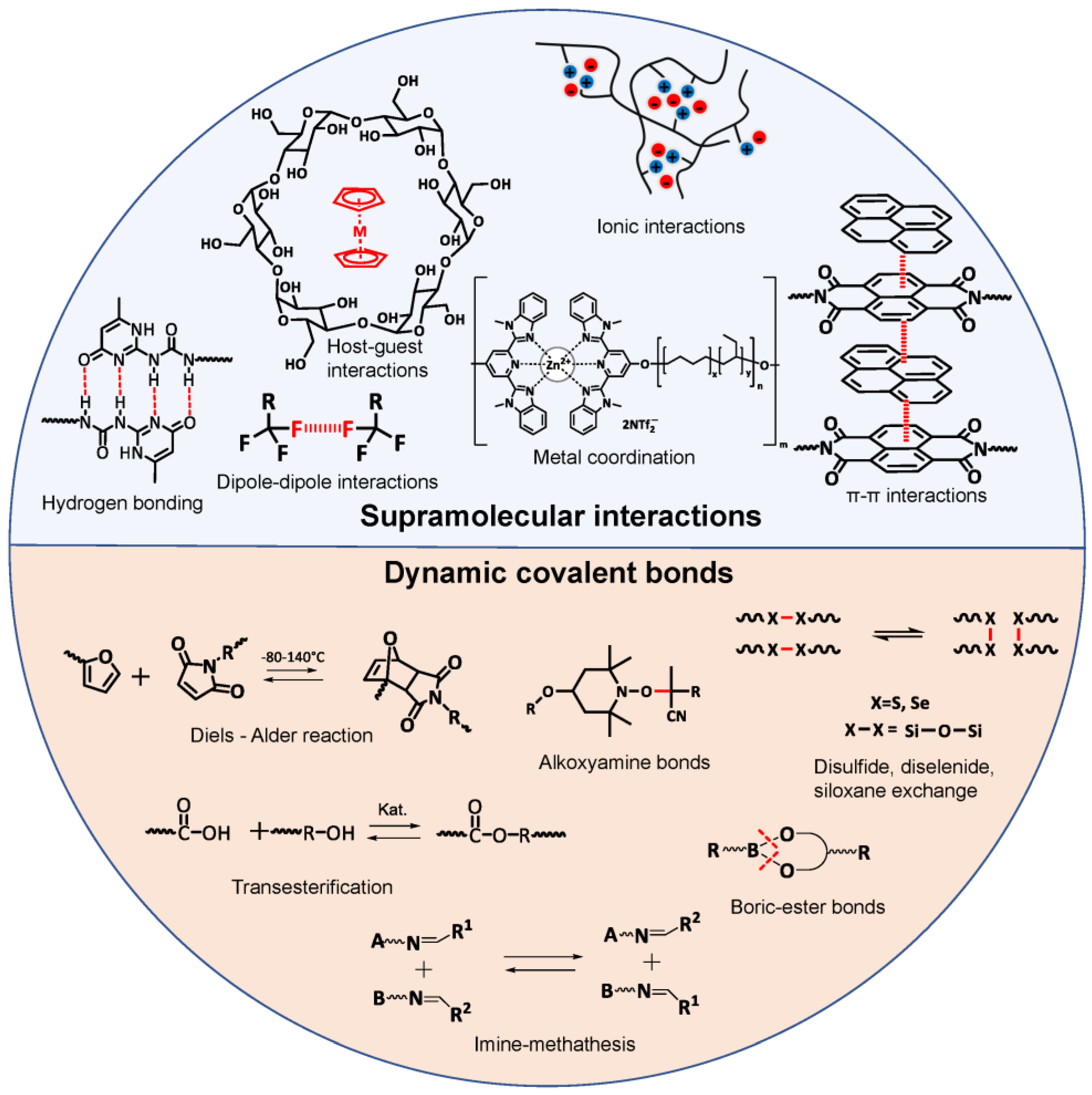 Polymers 15 01145 g001