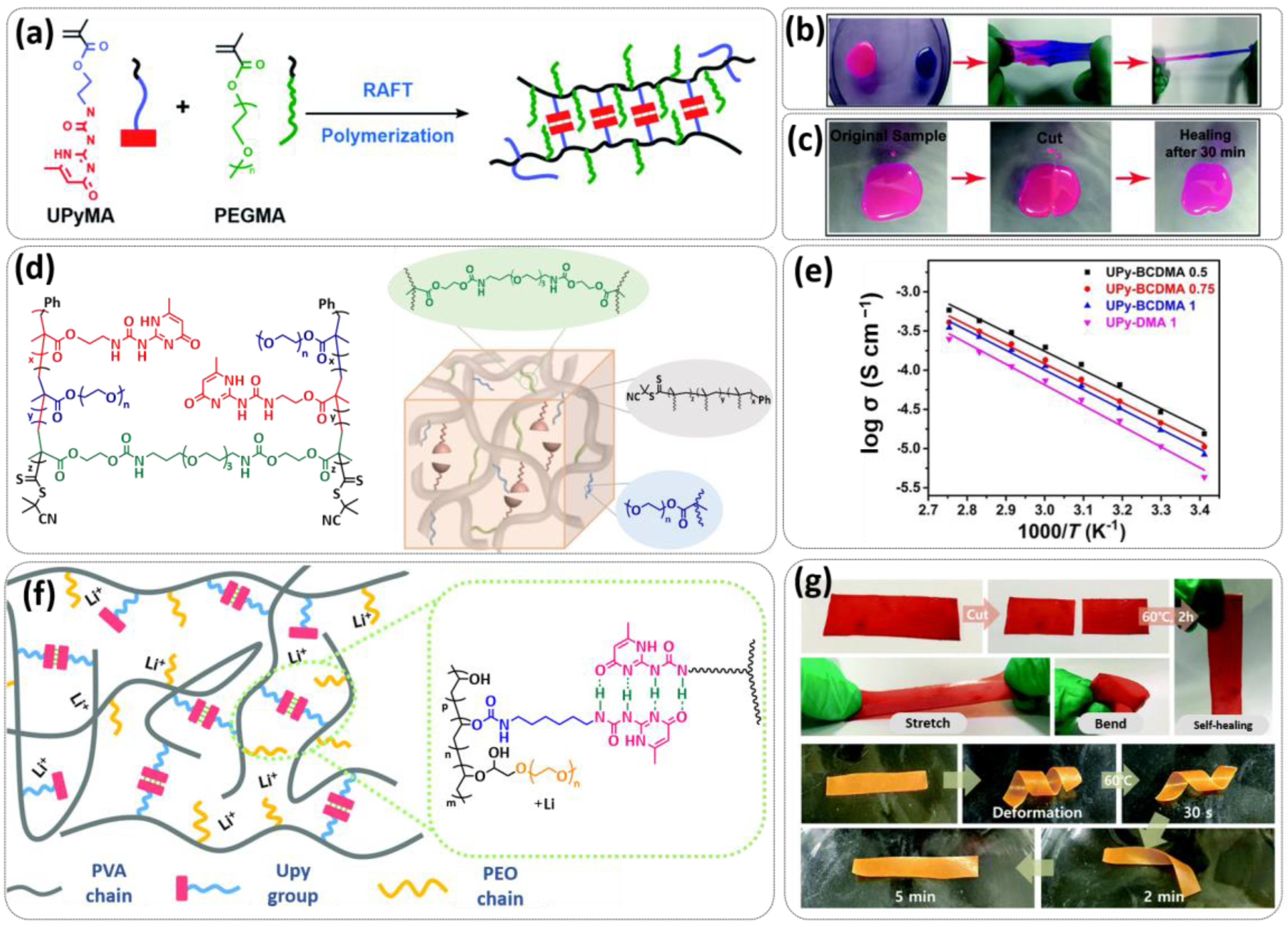 Polymers 15 01145 g003