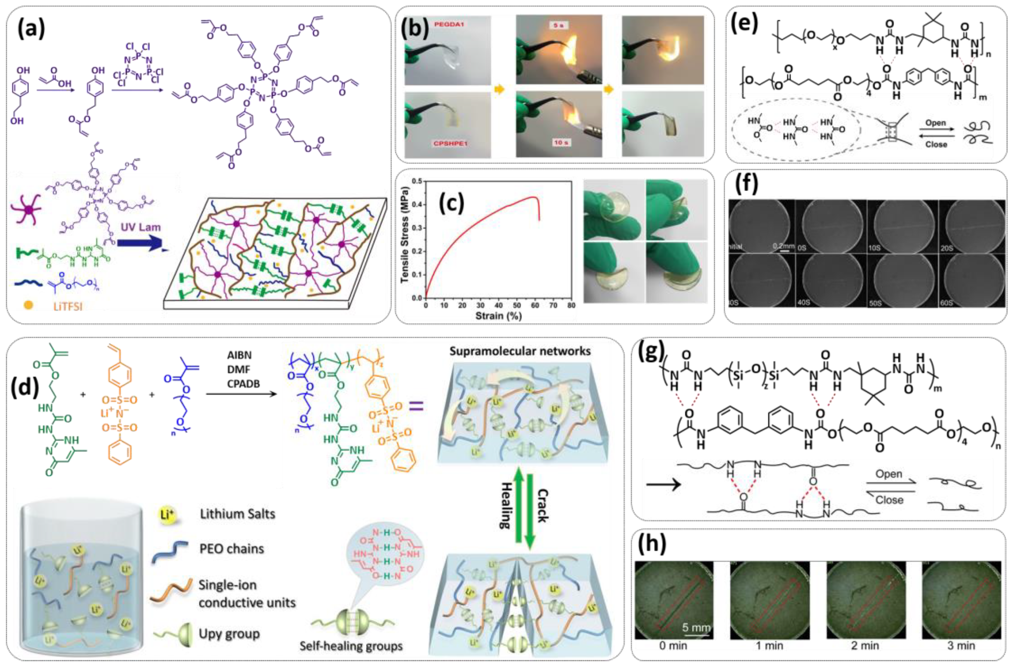 Polymers 15 01145 g004