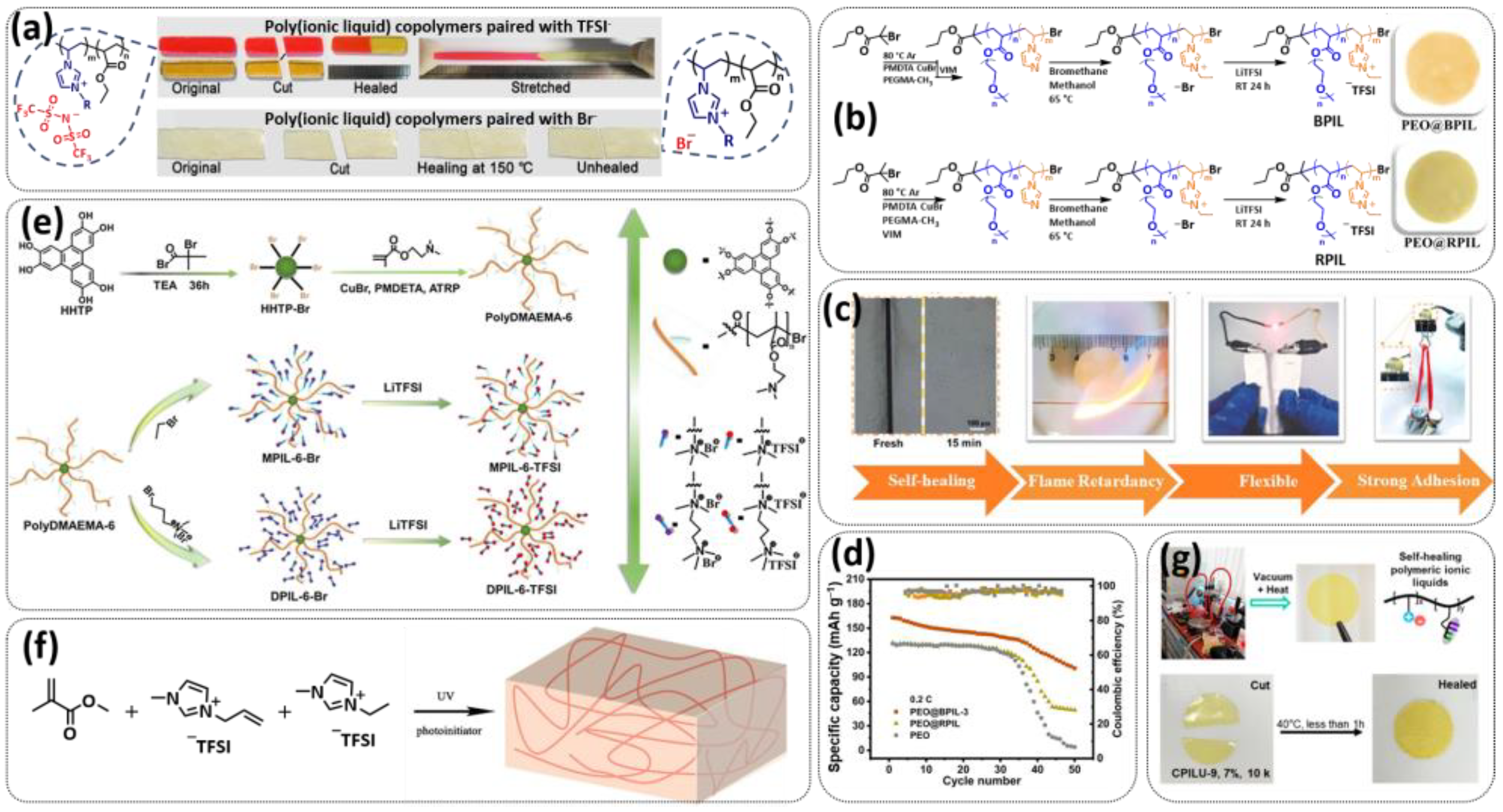 Polymers 15 01145 g005