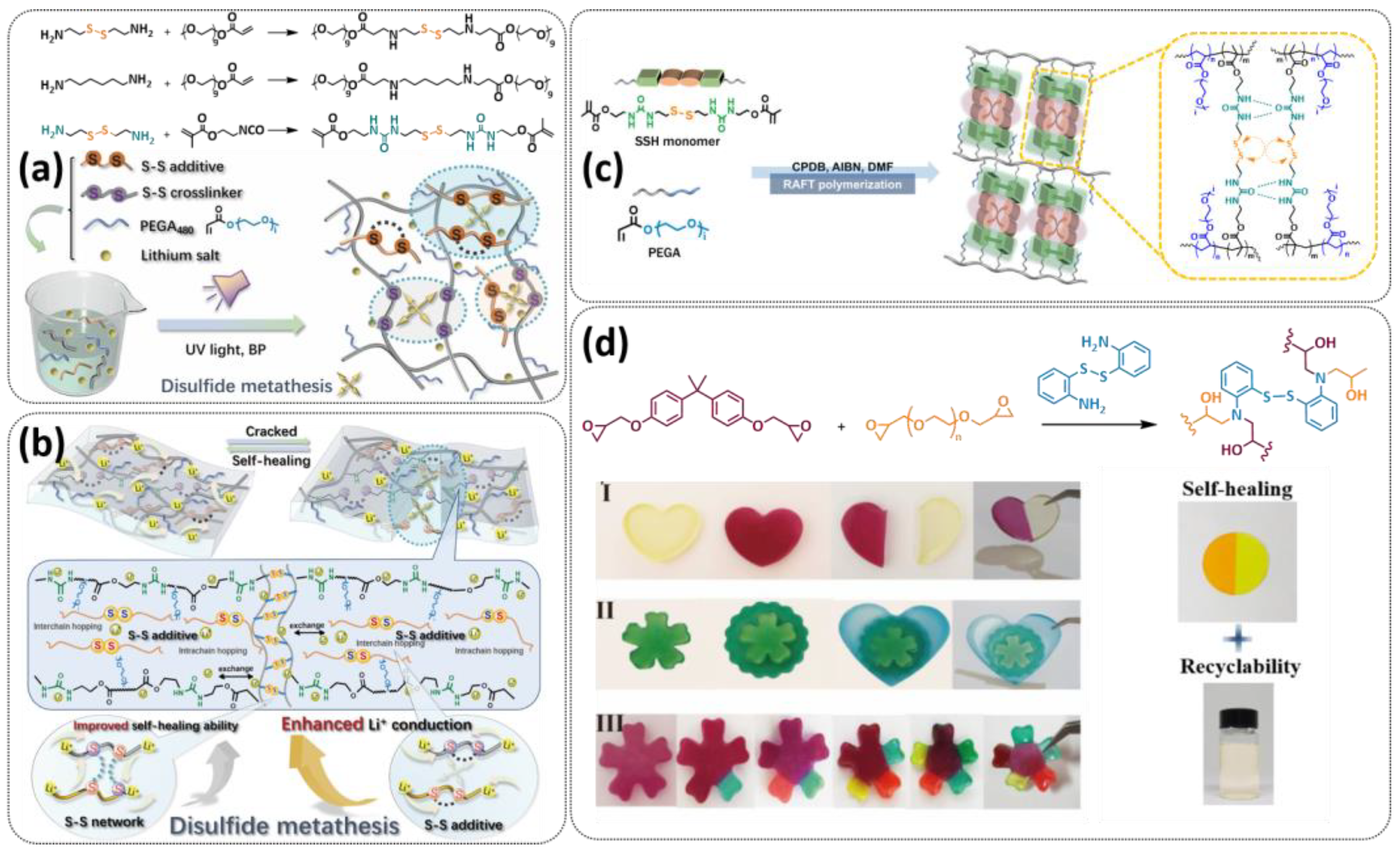 Polymers 15 01145 g007