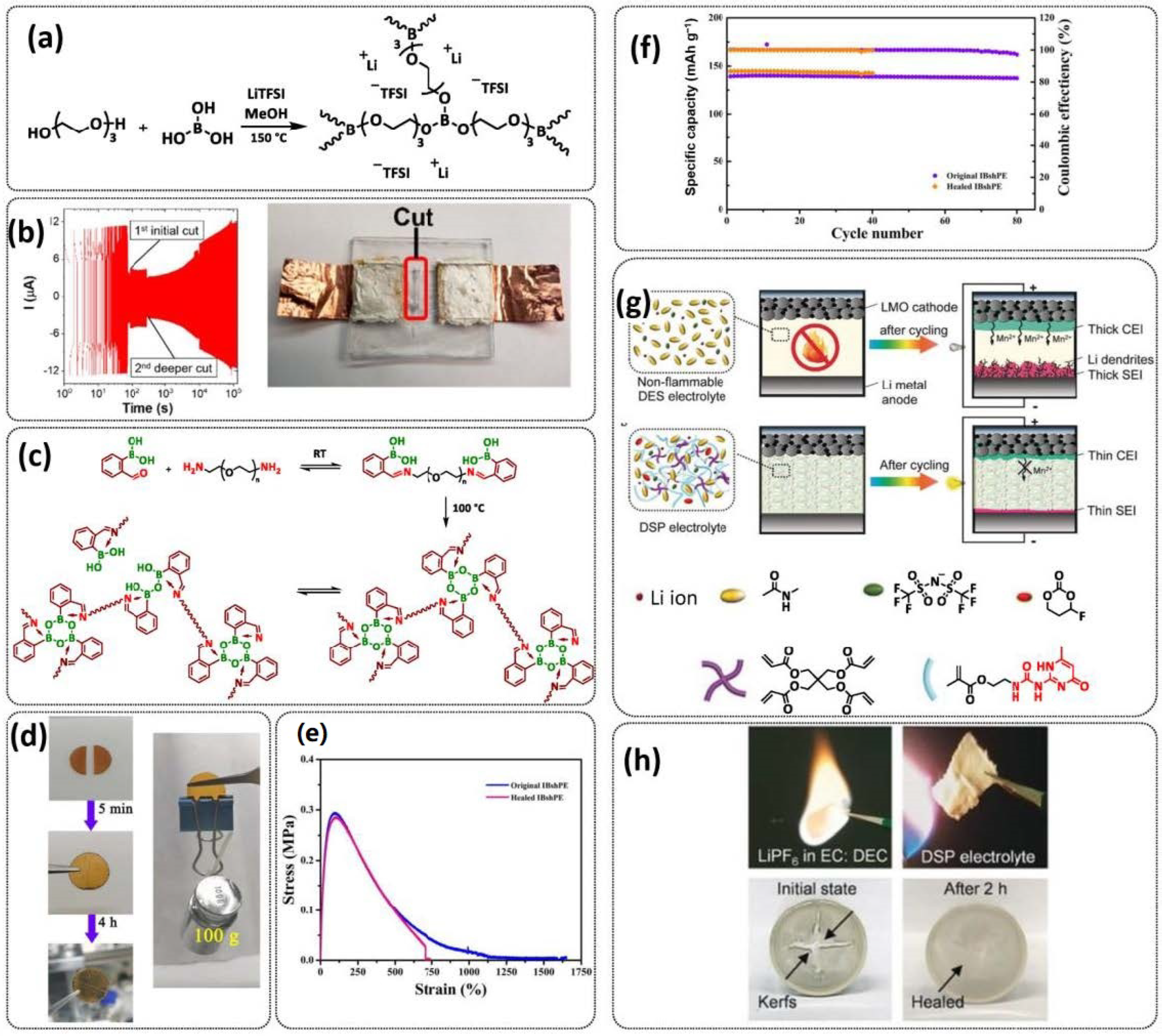 Polymers 15 01145 g008
