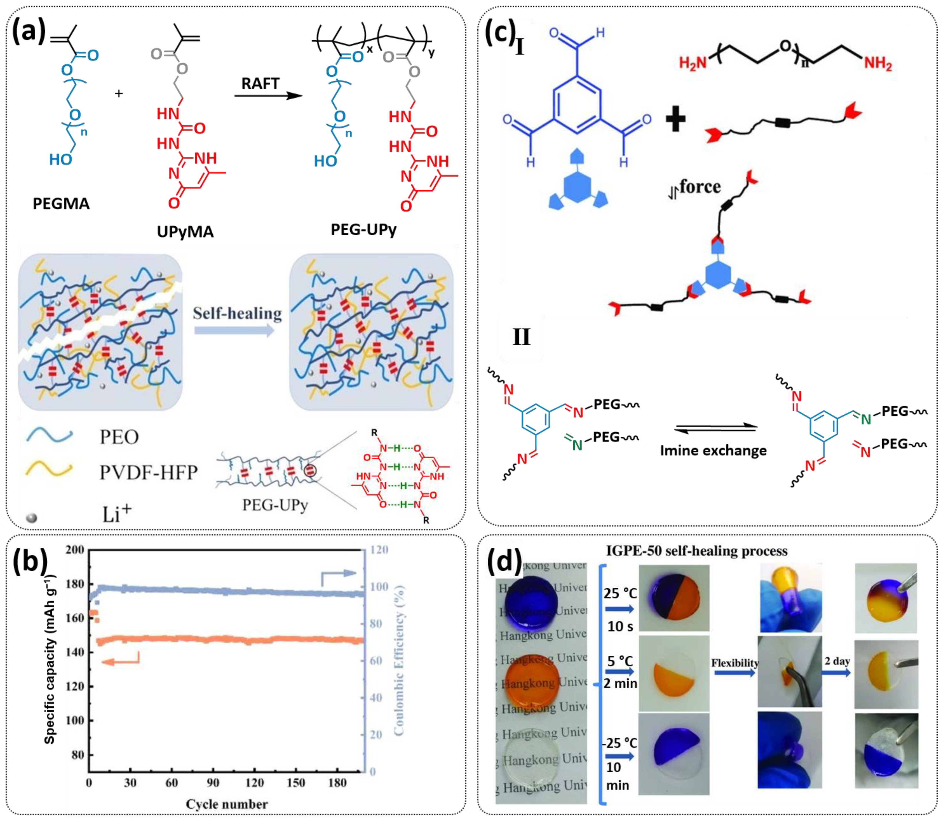 Polymers 15 01145 g010