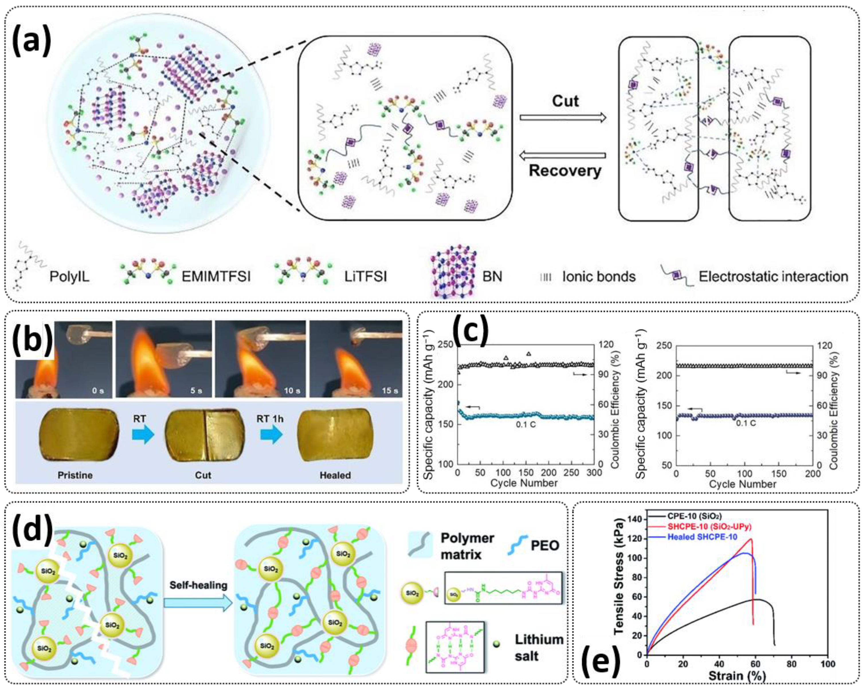 Polymers 15 01145 g012