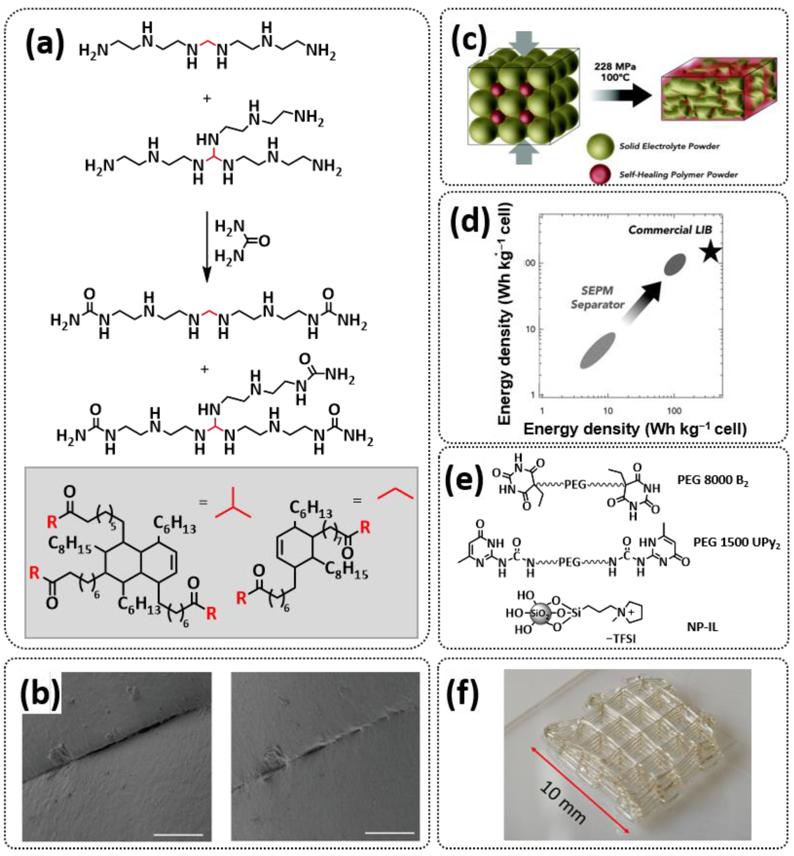 Polymers 15 01145 g013