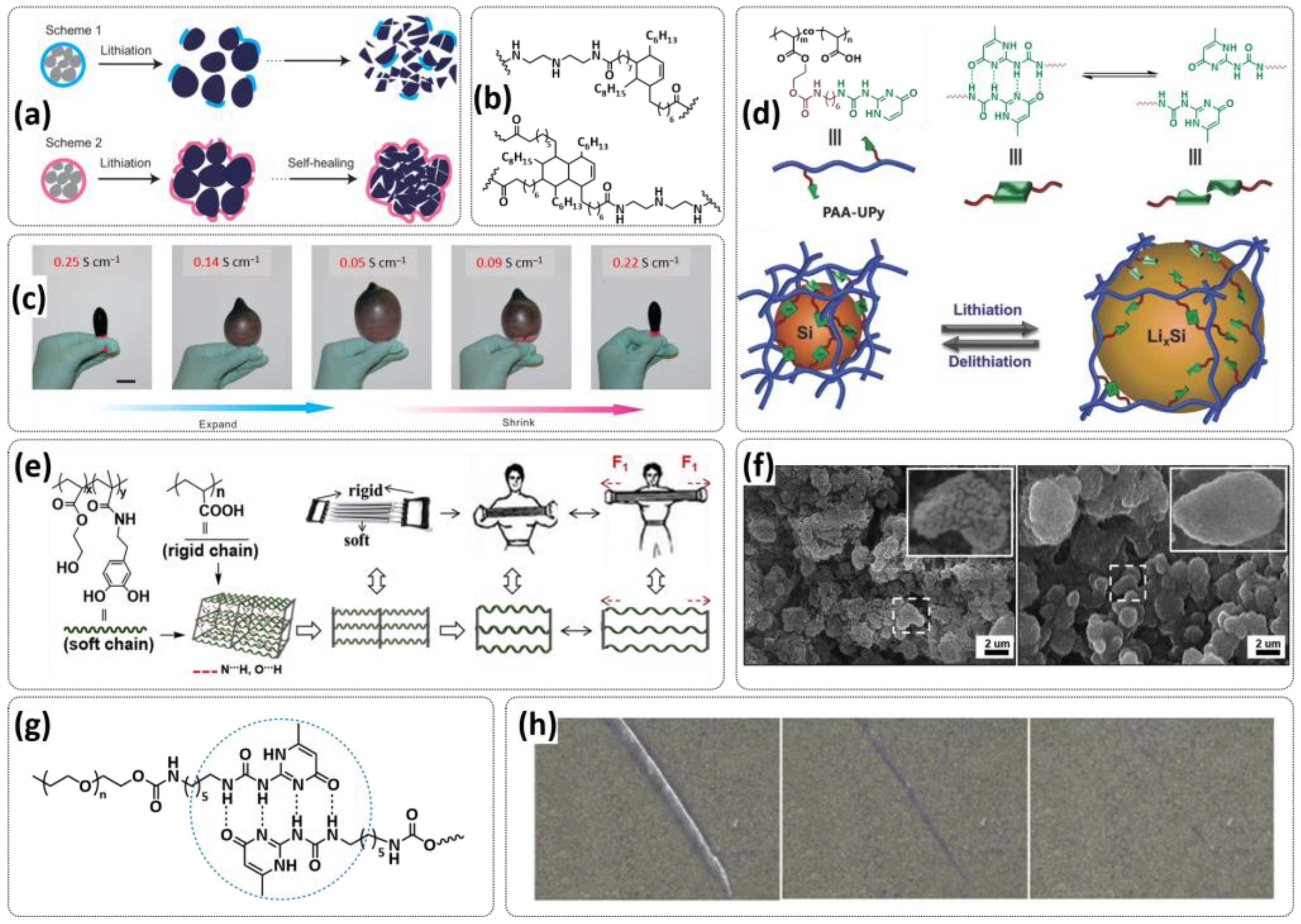 Polymers 15 01145 g015